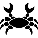 gemstone for cancer zodiac sign