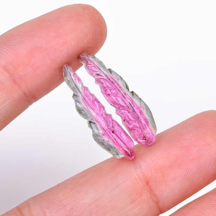 Natural Watermelon Tourmaline Leaf Shape Carved Loose Gemstone Pair For Making Earrings 8.6 Ct. 24X6X3 mm Y-10011