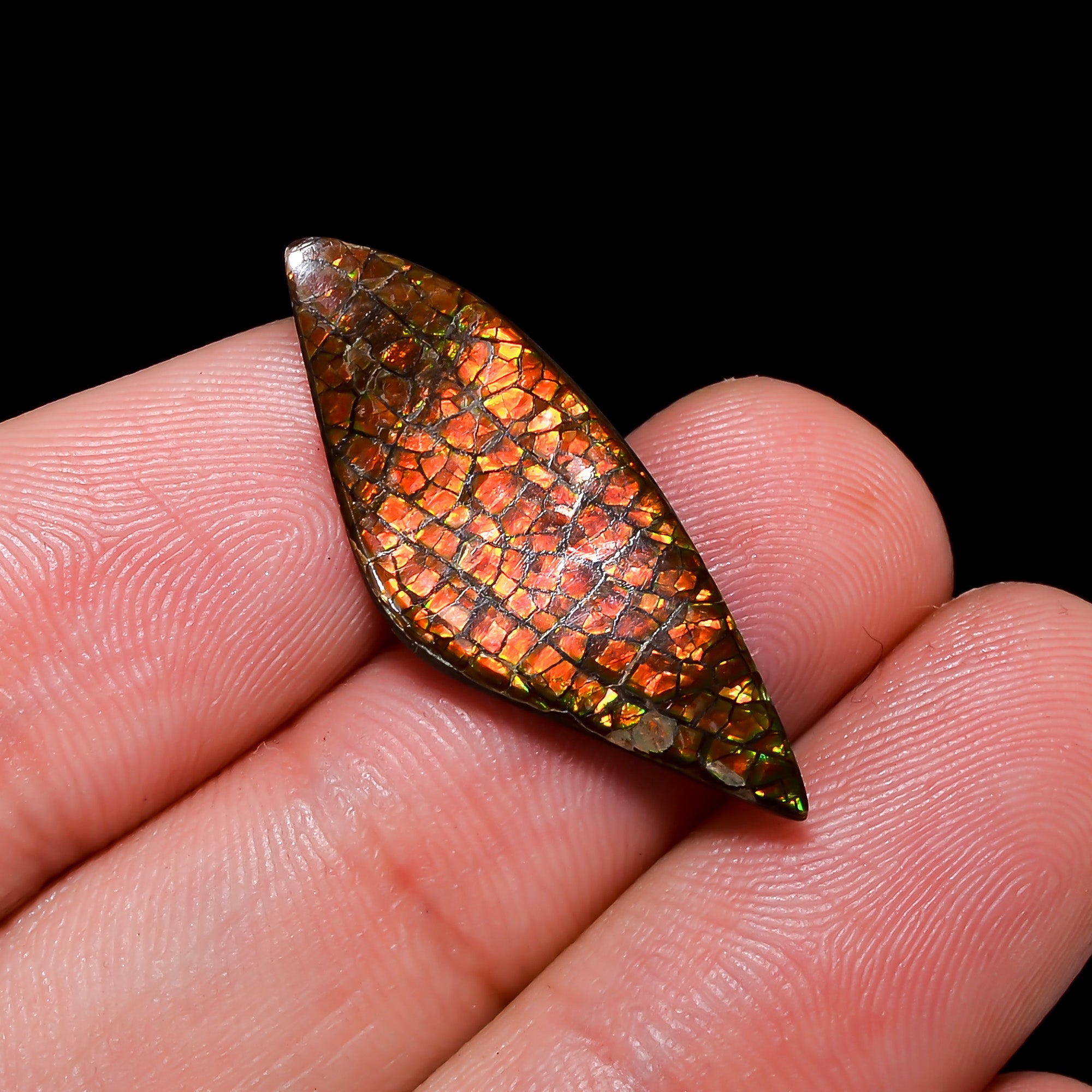 Natural Ammolite Fancy Shape Cabochon Loose Gemstone For Making Jewelry 6.5 Ct. 27X10X2 mm Y-10236