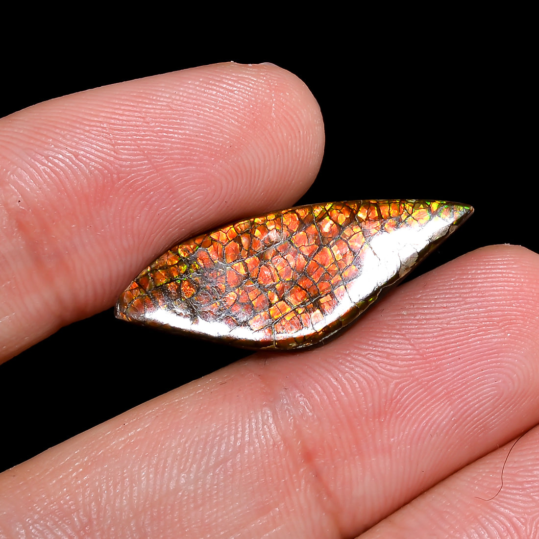 Natural Ammolite Fancy Shape Cabochon Loose Gemstone For Making Jewelry 6.5 Ct. 27X10X2 mm Y-10236