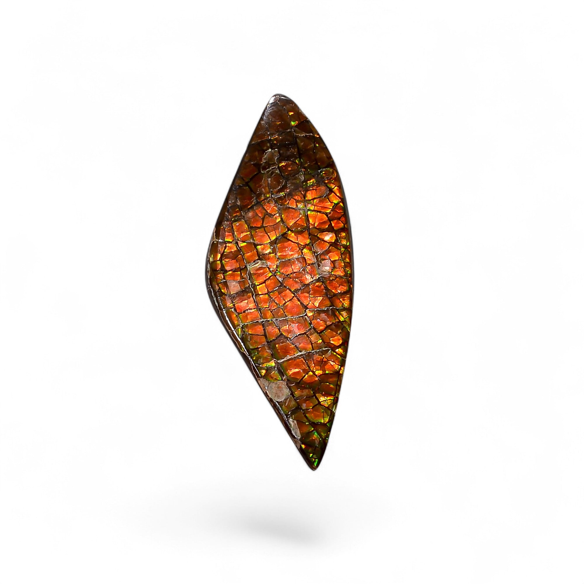 Natural Ammolite Fancy Shape Cabochon Loose Gemstone For Making Jewelry 6.5 Ct. 27X10X2 mm Y-10236