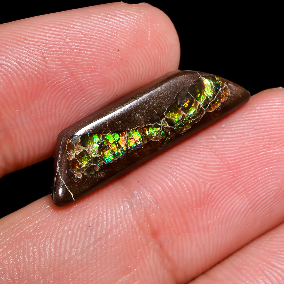 Natural Ammolite Fancy Shape Cabochon Loose Gemstone For Making Jewelry 8 Ct. 25X7X3 mm Y-10237
