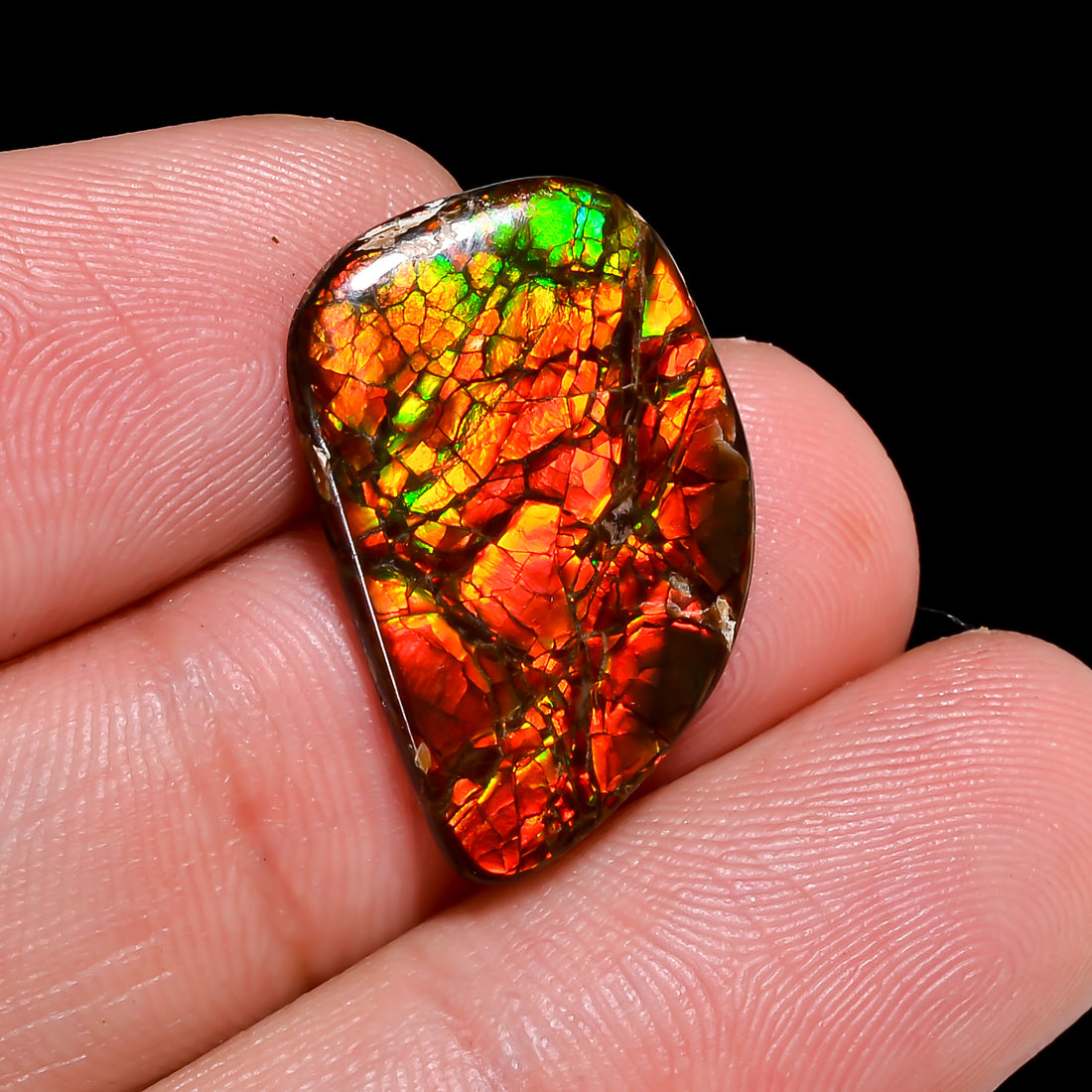 Natural Ammolite Fancy Shape Cabochon Loose Gemstone For Making Jewelry 5.5 Ct. 20X13X2 mm Y-10239