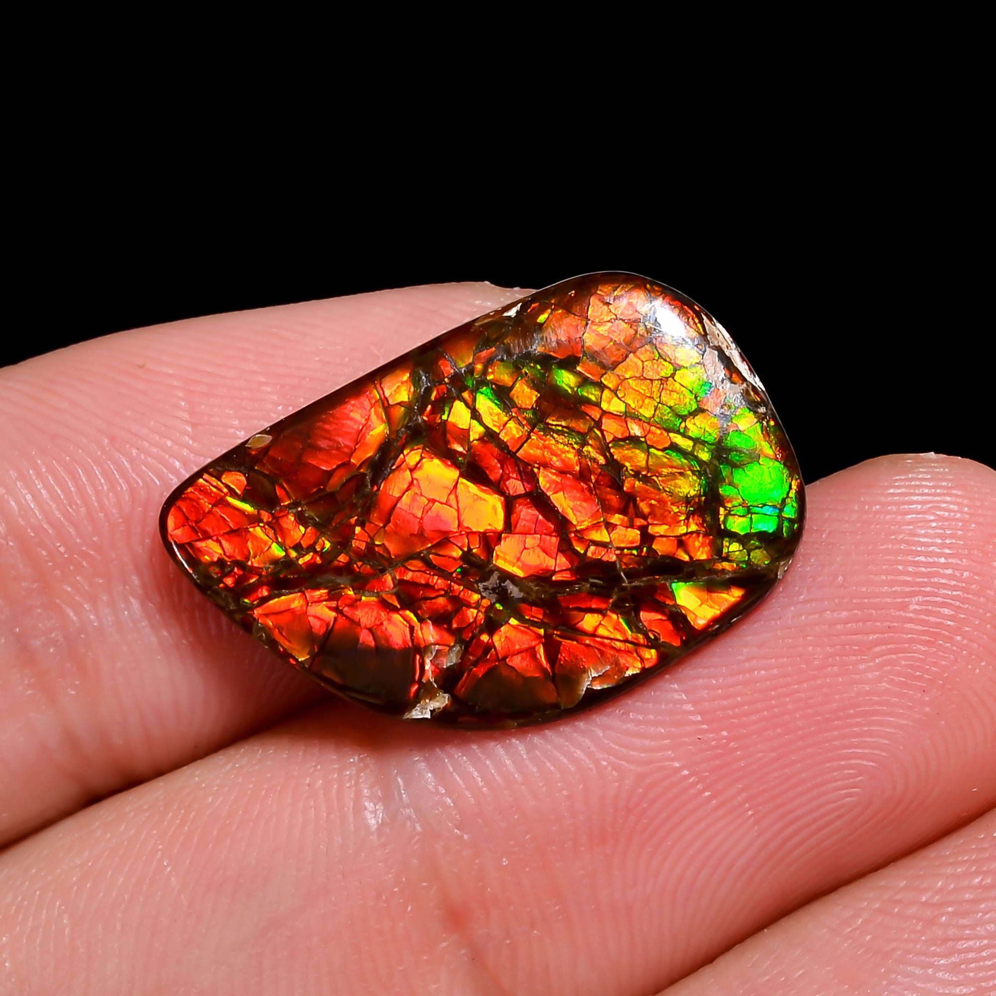Natural Ammolite Fancy Shape Cabochon Loose Gemstone For Making Jewelry 5.5 Ct. 20X13X2 mm Y-10239