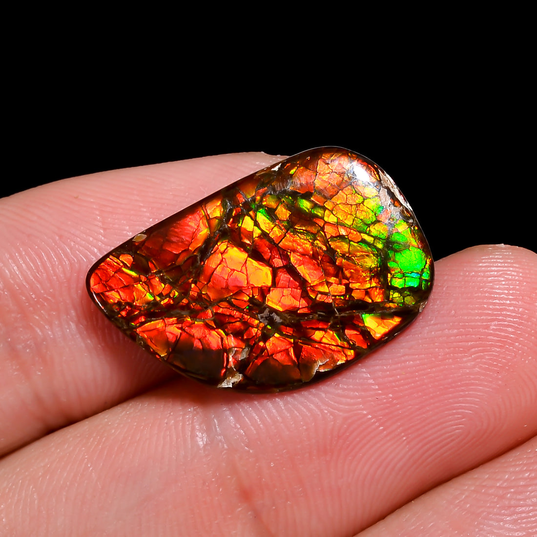 Natural Ammolite Fancy Shape Cabochon Loose Gemstone For Making Jewelry 5.5 Ct. 20X13X2 mm Y-10239