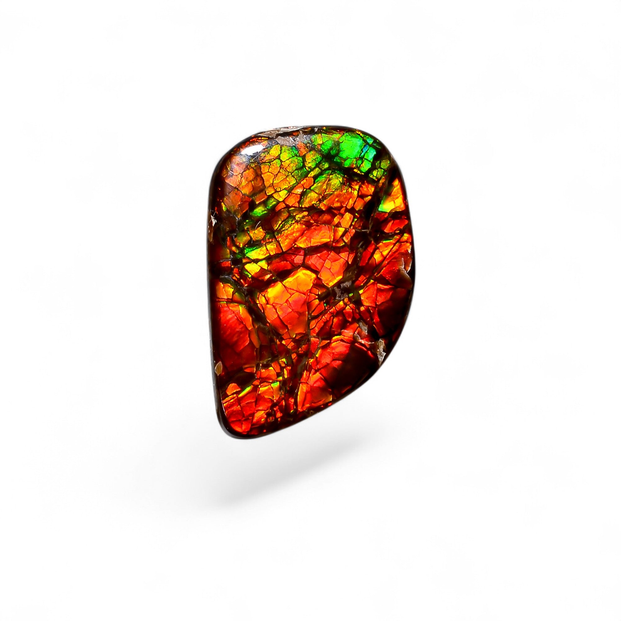 Natural Ammolite Fancy Shape Cabochon Loose Gemstone For Making Jewelry 5.5 Ct. 20X13X2 mm Y-10239
