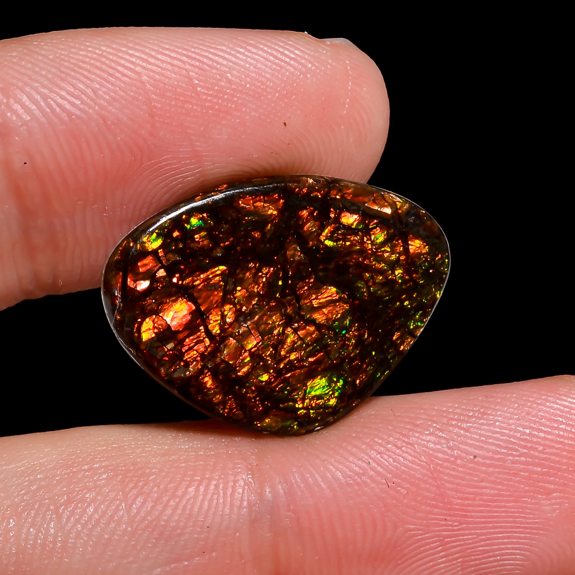 Natural Ammolite Fancy Shape Cabochon Loose Gemstone For Making Jewelry 5.5 Ct. 21X15X2 mm Y-10240