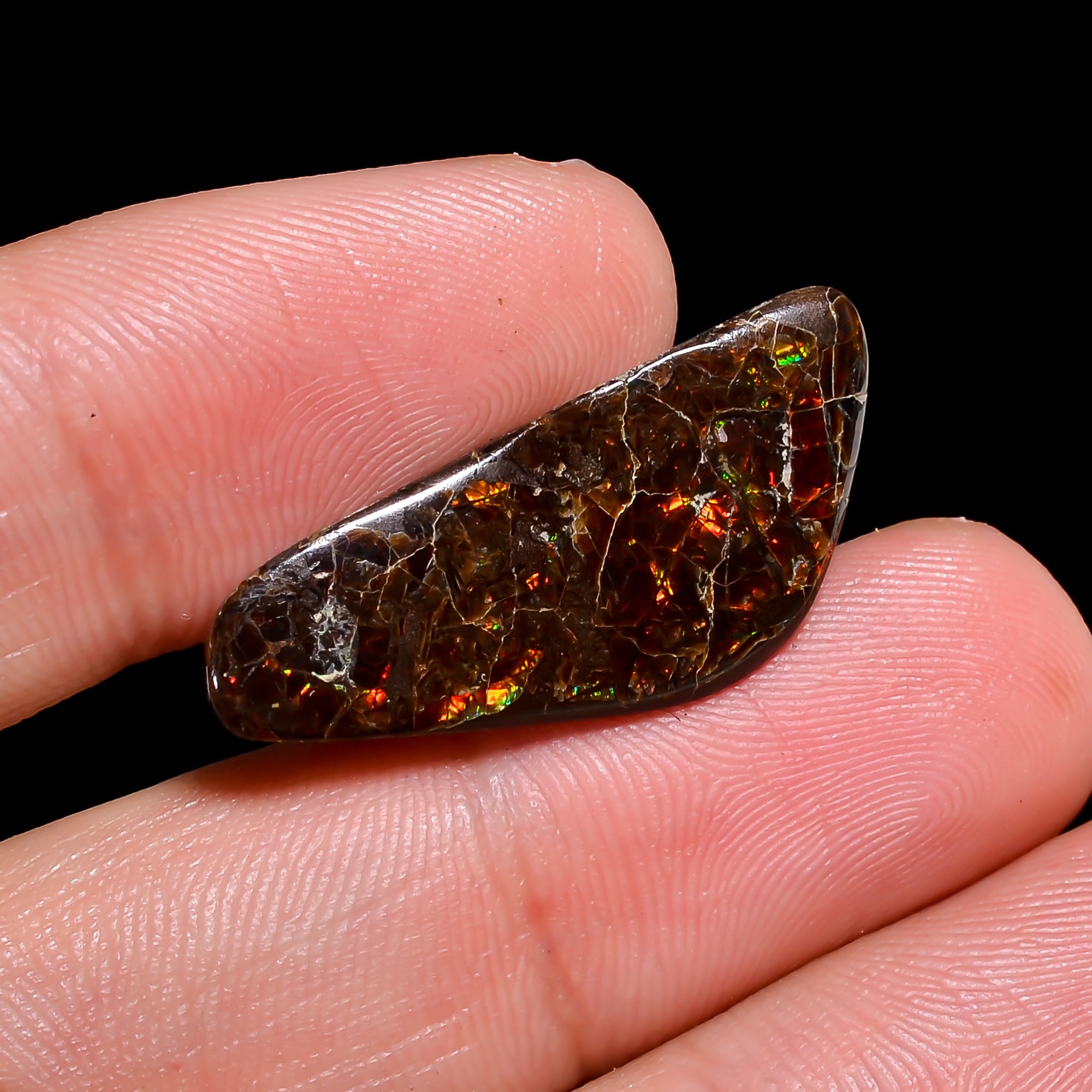Natural Ammolite Fancy Shape Cabochon Loose Gemstone For Making Jewelry 11 Ct. 27X11X3 mm Y-10241