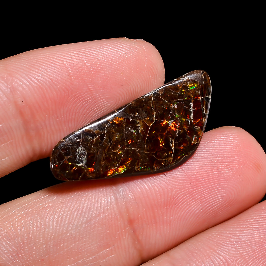 Natural Ammolite Fancy Shape Cabochon Loose Gemstone For Making Jewelry 11 Ct. 27X11X3 mm Y-10241
