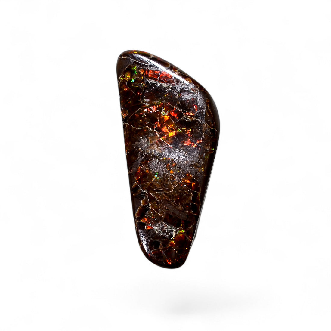 Natural Ammolite Fancy Shape Cabochon Loose Gemstone For Making Jewelry 11 Ct. 27X11X3 mm Y-10241