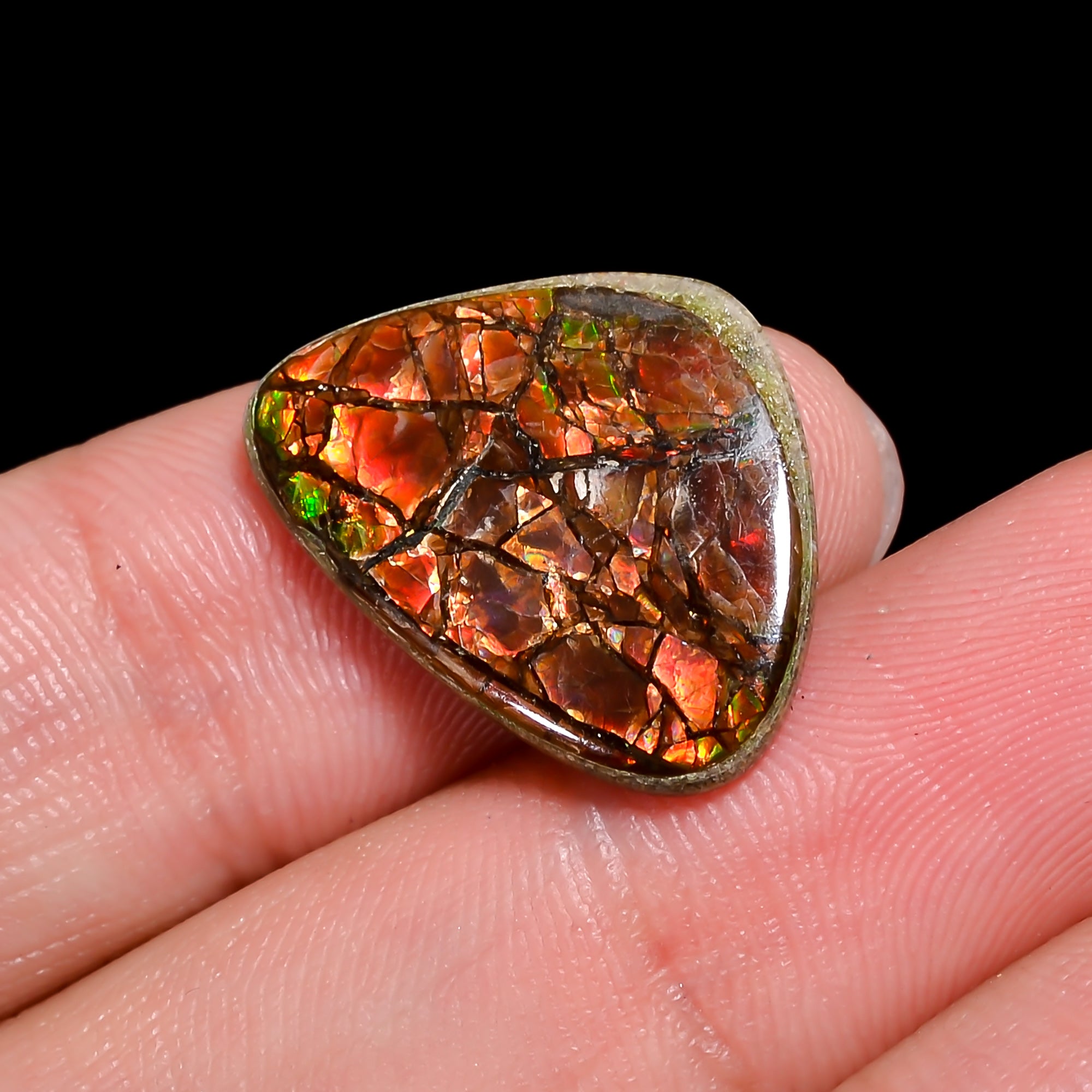 Natural Ammolite Fancy Shape Cabochon Loose Gemstone For Making Jewelry 6 Ct. 20X15X2 mm Y-10242