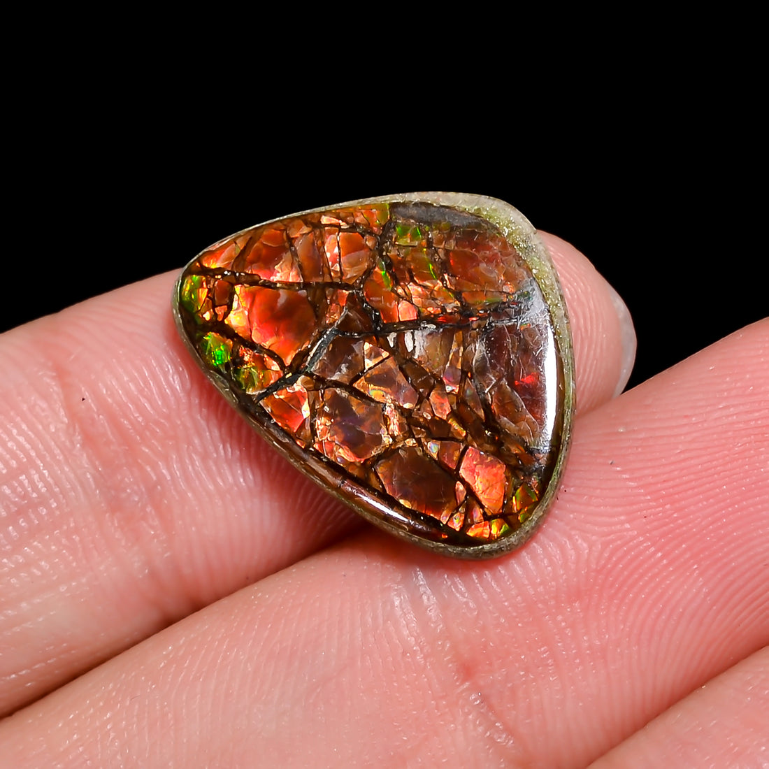 Natural Ammolite Fancy Shape Cabochon Loose Gemstone For Making Jewelry 6 Ct. 20X15X2 mm Y-10242