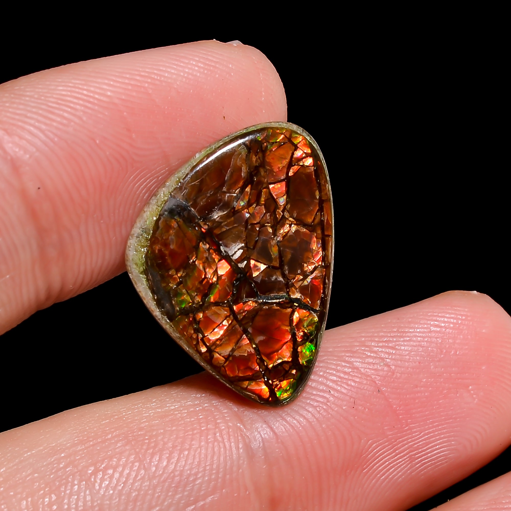 Natural Ammolite Fancy Shape Cabochon Loose Gemstone For Making Jewelry 6 Ct. 20X15X2 mm Y-10242