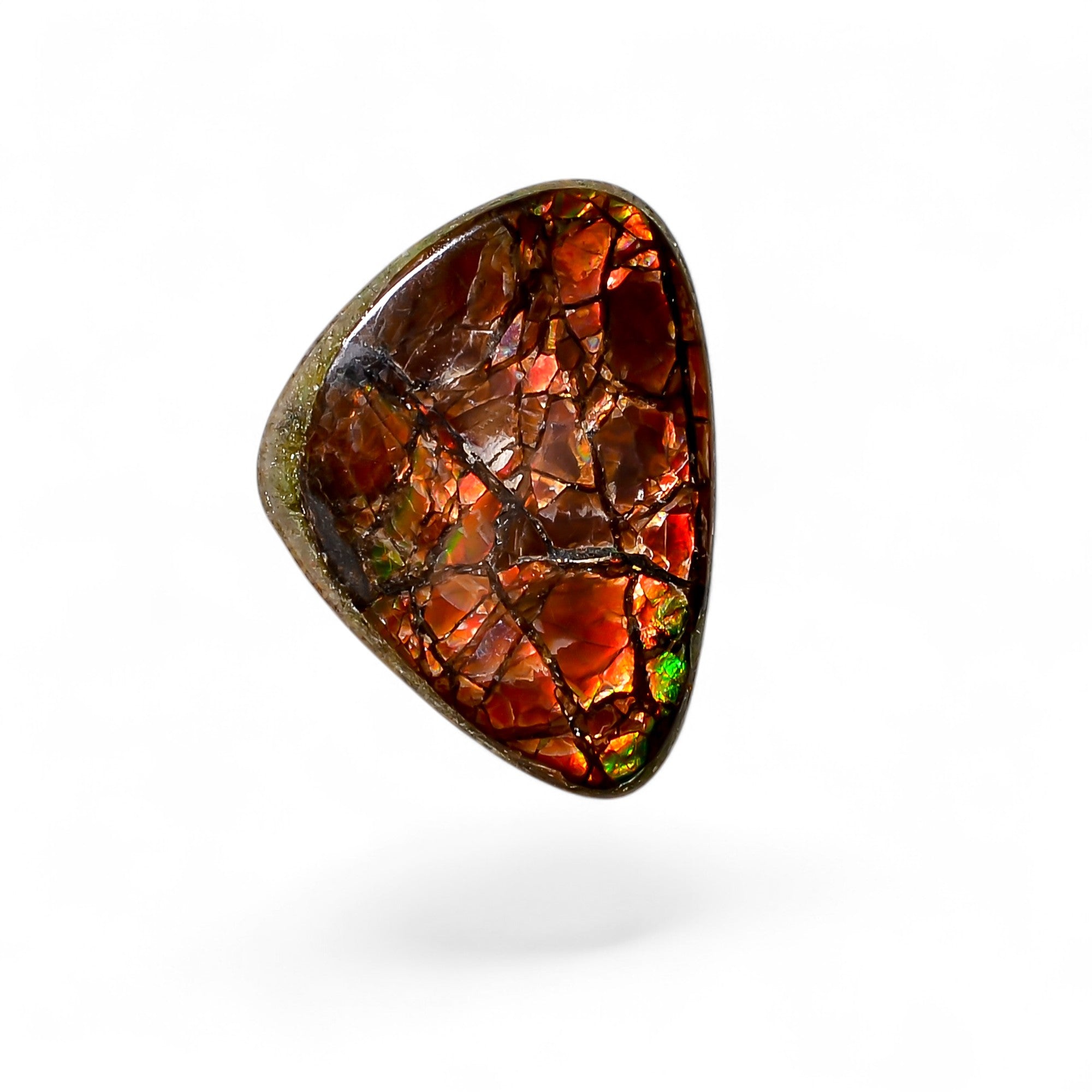 Natural Ammolite Fancy Shape Cabochon Loose Gemstone For Making Jewelry 6 Ct. 20X15X2 mm Y-10242