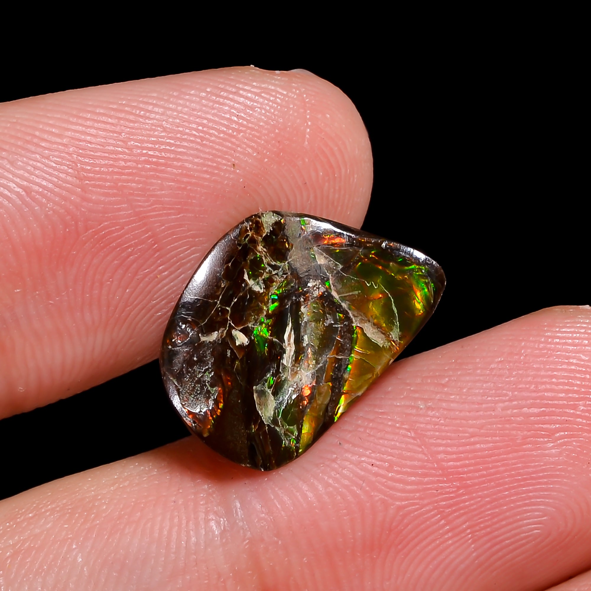 Natural Ammolite Fancy Shape Cabochon Loose Gemstone For Making Jewelry 3.5 Ct. 15X10X2 mm Y-10243