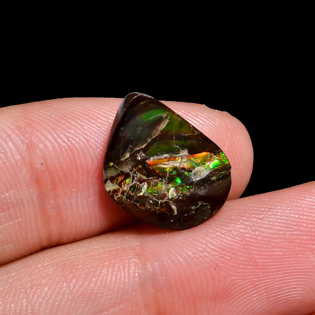Natural Ammolite Fancy Shape Cabochon Loose Gemstone For Making Jewelry 3.5 Ct. 15X10X2 mm Y-10243