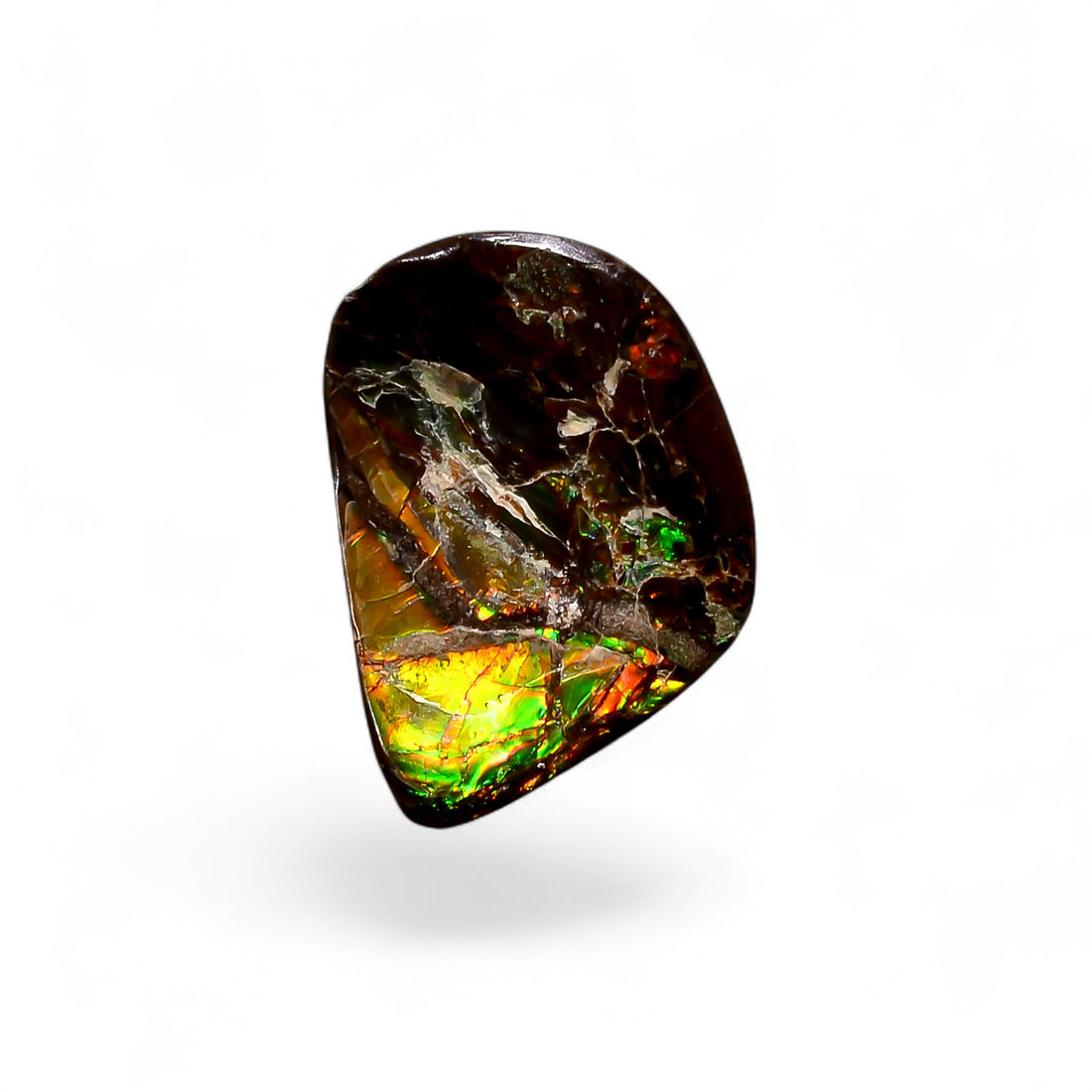 Natural Ammolite Fancy Shape Cabochon Loose Gemstone For Making Jewelry 3.5 Ct. 15X10X2 mm Y-10243