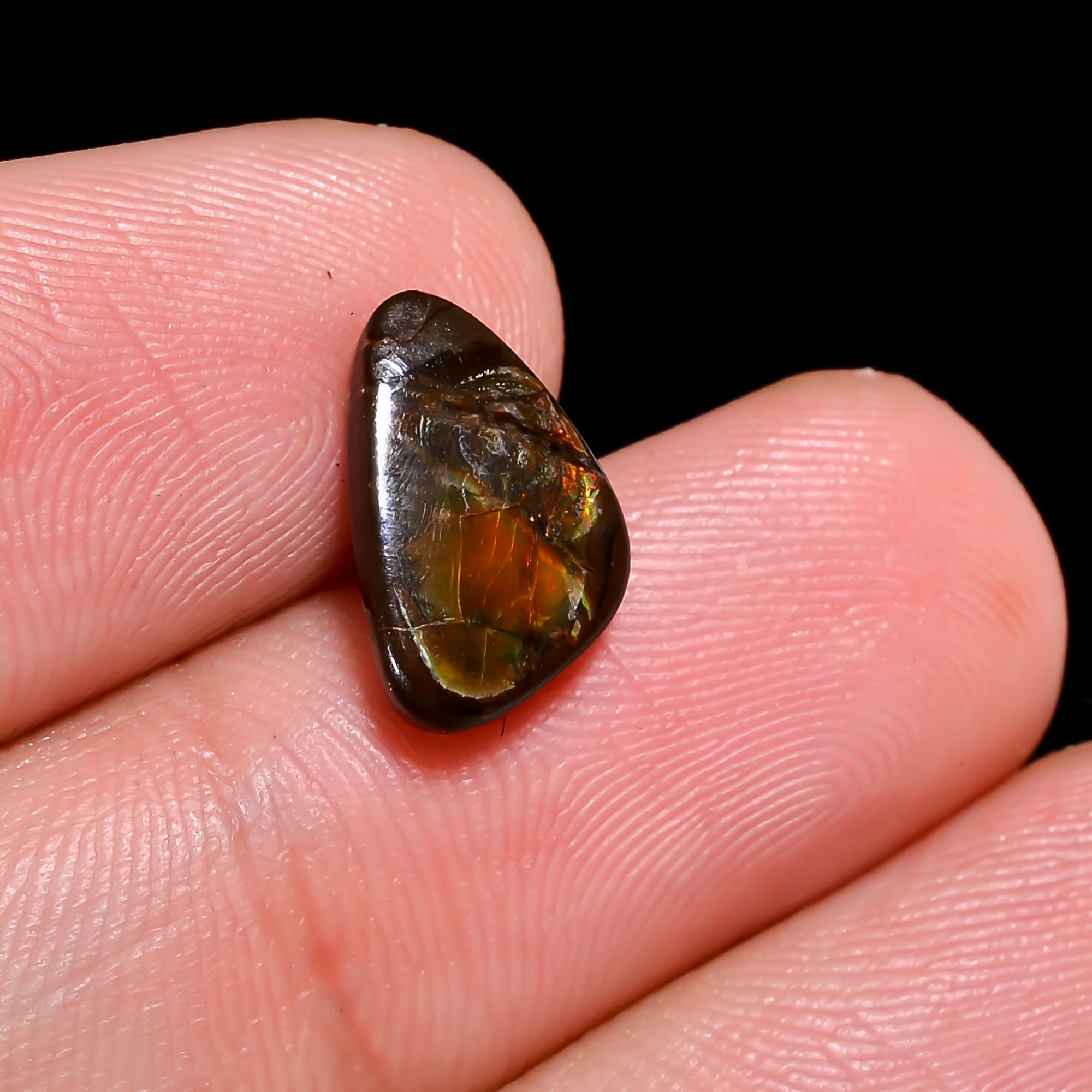 Natural Ammolite Fancy Shape Cabochon Loose Gemstone For Making Jewelry 2 Ct. 11X7X3 mm Y-10244