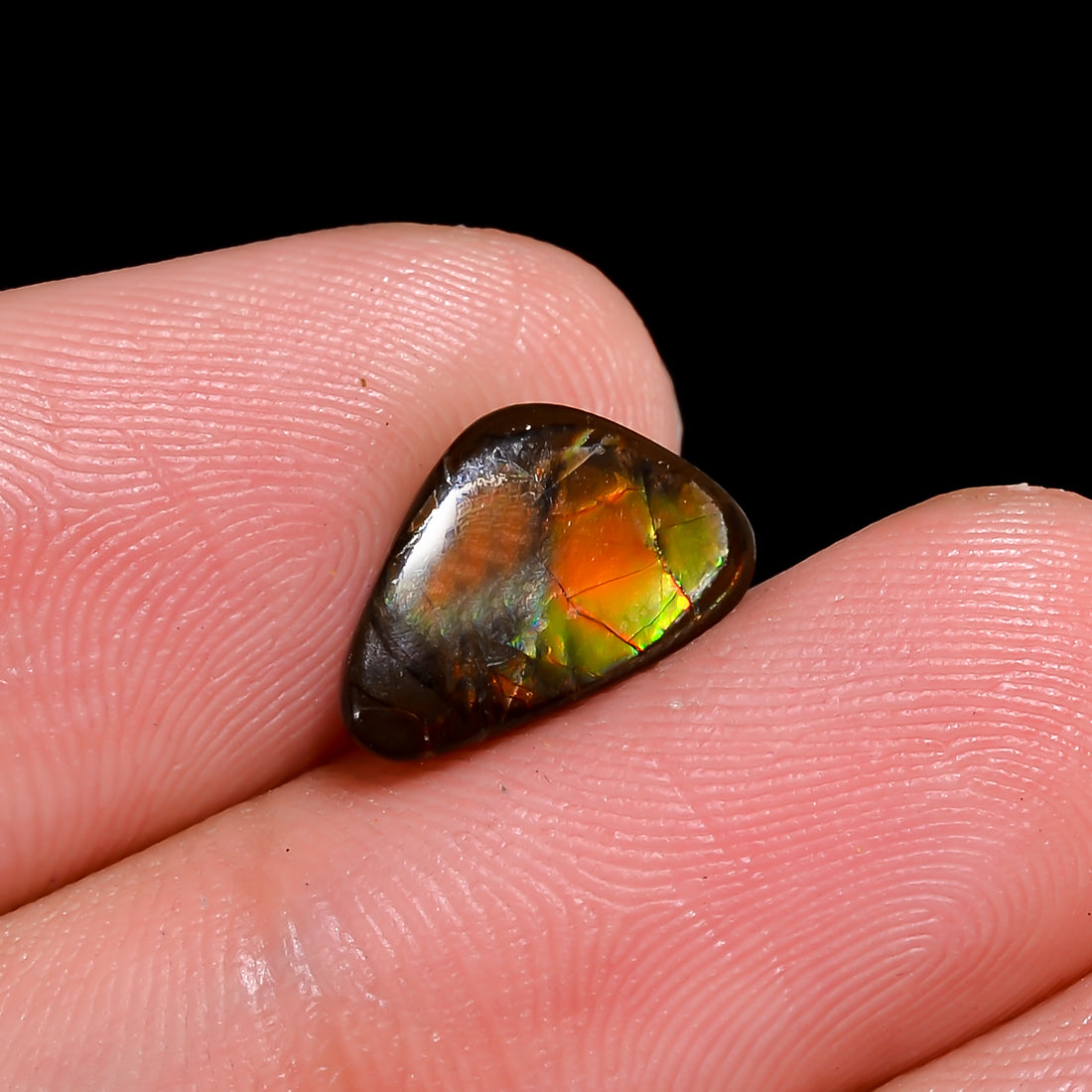 Natural Ammolite Fancy Shape Cabochon Loose Gemstone For Making Jewelry 2 Ct. 11X7X3 mm Y-10244
