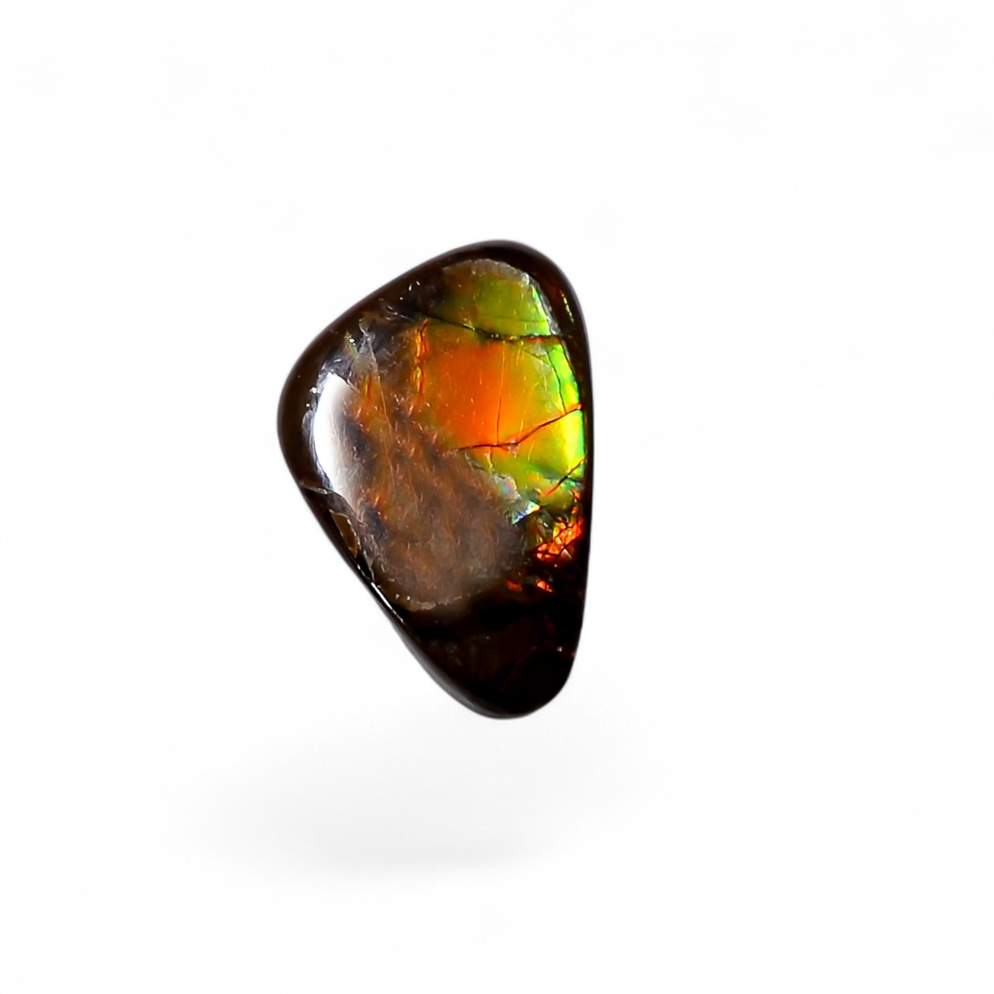 Natural Ammolite Fancy Shape Cabochon Loose Gemstone For Making Jewelry 2 Ct. 11X7X3 mm Y-10244