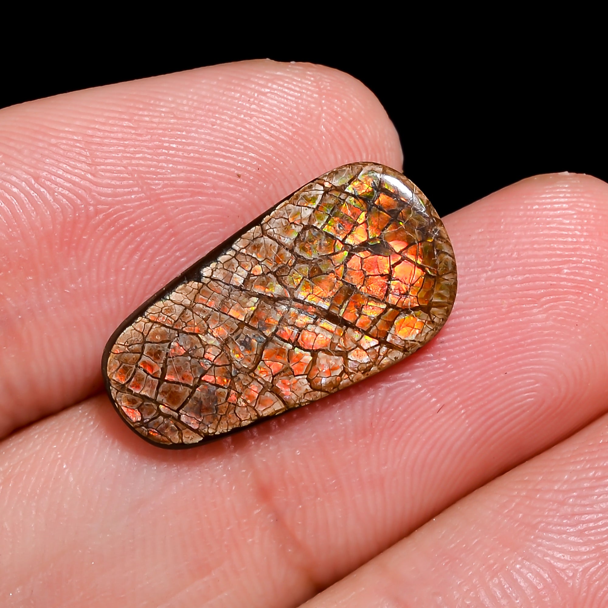 Natural Ammolite Fancy Shape Cabochon Loose Gemstone For Making Jewelry 4 Ct. 19X10X2 mm Y-10246