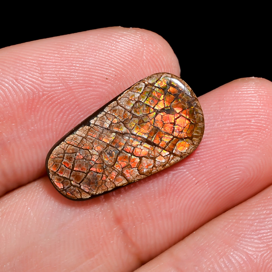 Natural Ammolite Fancy Shape Cabochon Loose Gemstone For Making Jewelry 4 Ct. 19X10X2 mm Y-10246