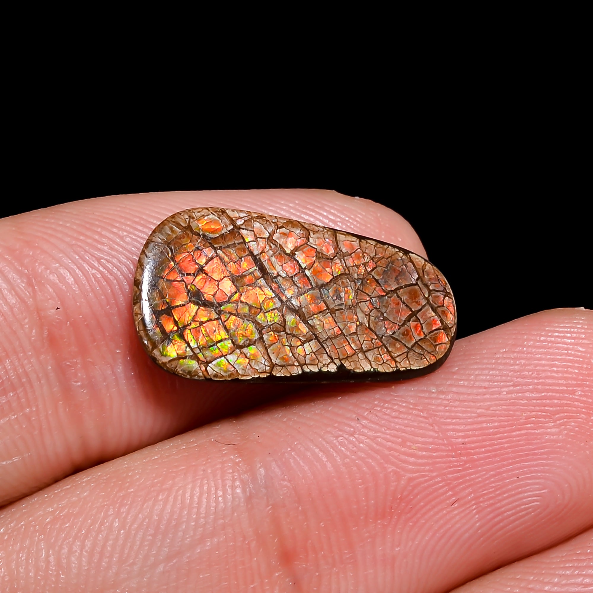 Natural Ammolite Fancy Shape Cabochon Loose Gemstone For Making Jewelry 4 Ct. 19X10X2 mm Y-10246