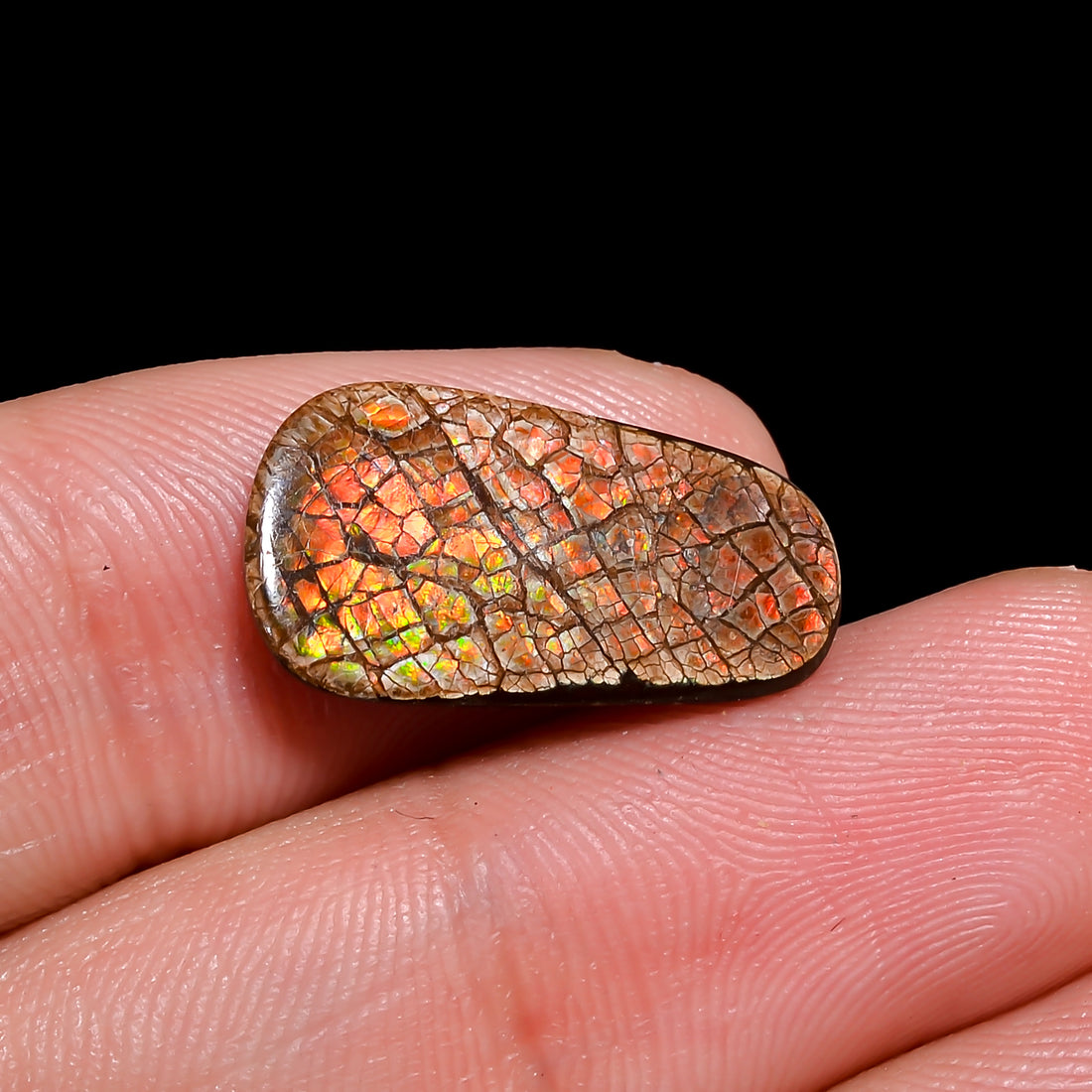 Natural Ammolite Fancy Shape Cabochon Loose Gemstone For Making Jewelry 4 Ct. 19X10X2 mm Y-10246