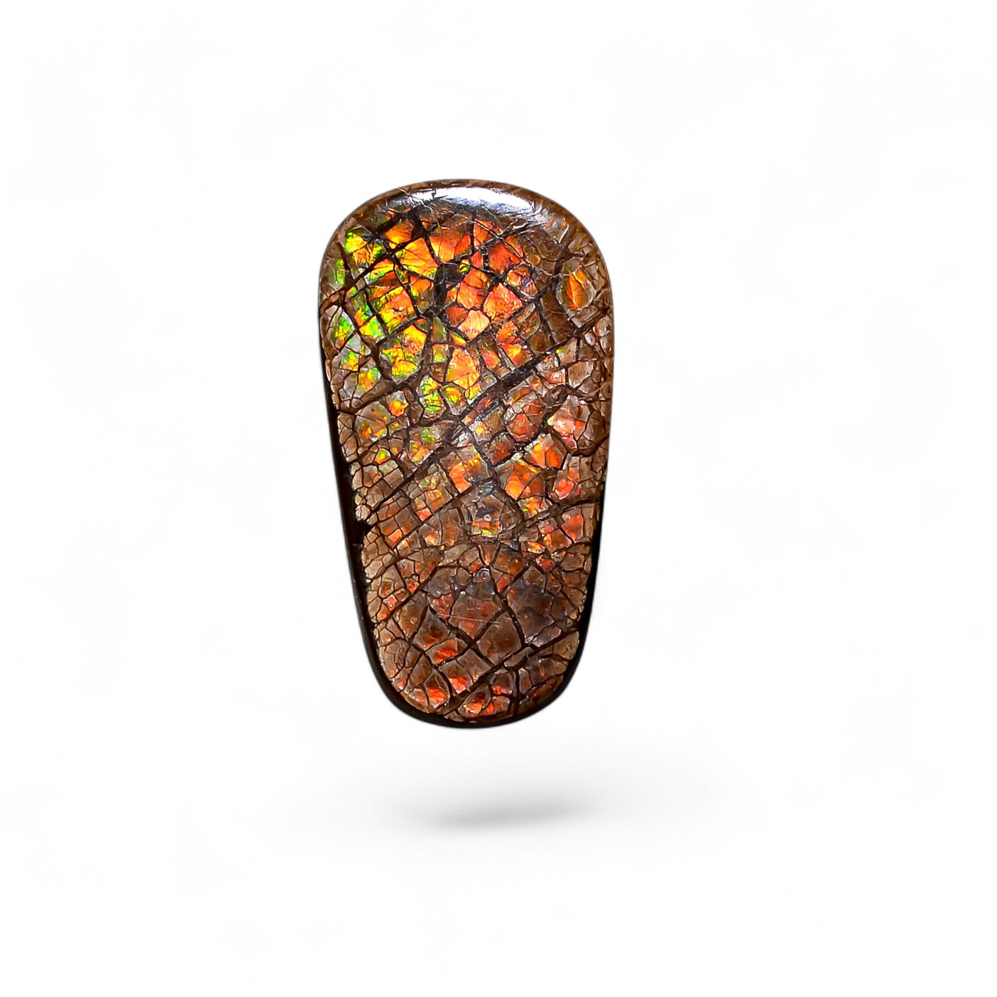 Natural Ammolite Fancy Shape Cabochon Loose Gemstone For Making Jewelry 4 Ct. 19X10X2 mm Y-10246
