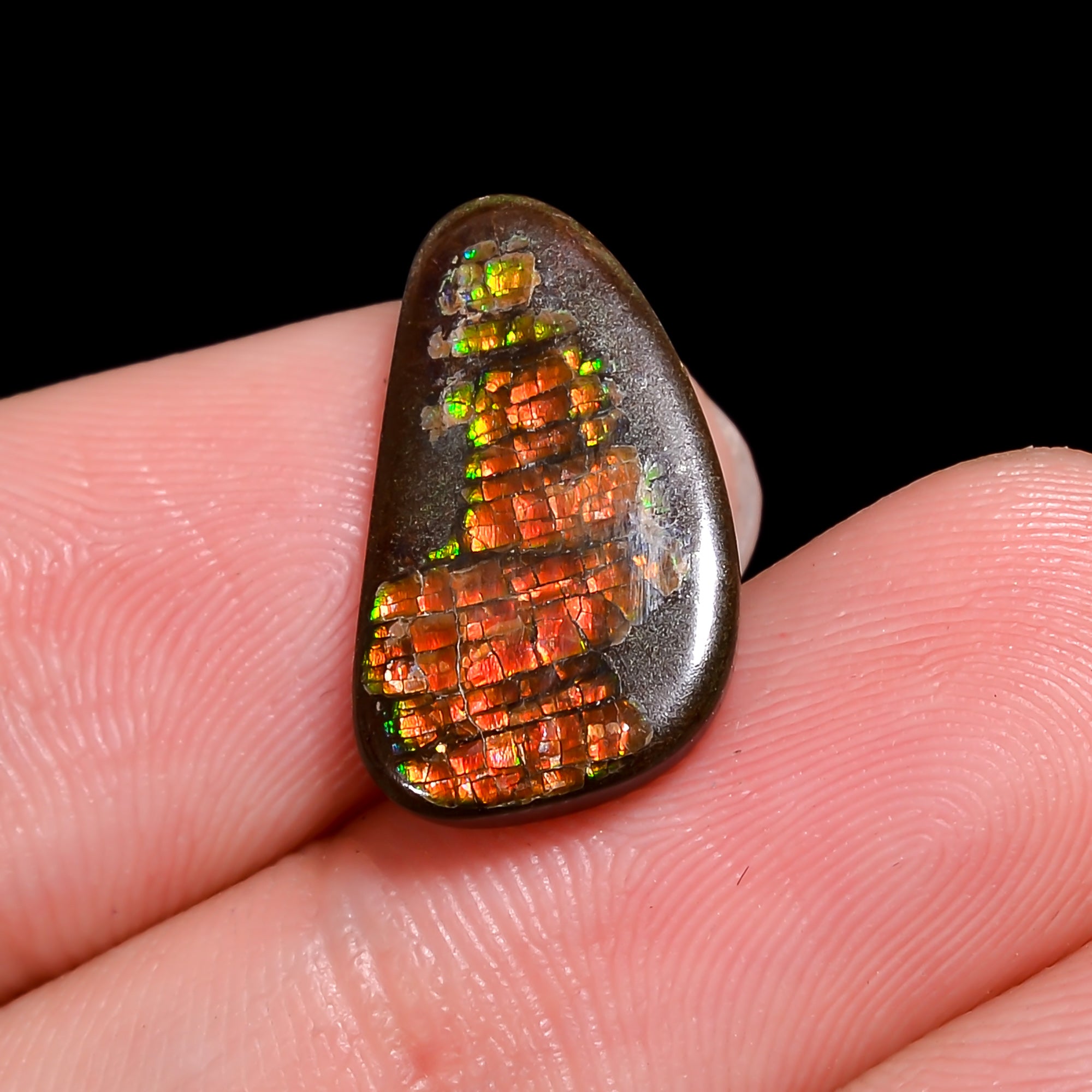 Natural Ammolite Fancy Shape Cabochon Loose Gemstone For Making Jewelry 6 Ct. 17X9X3 mm Y-10248