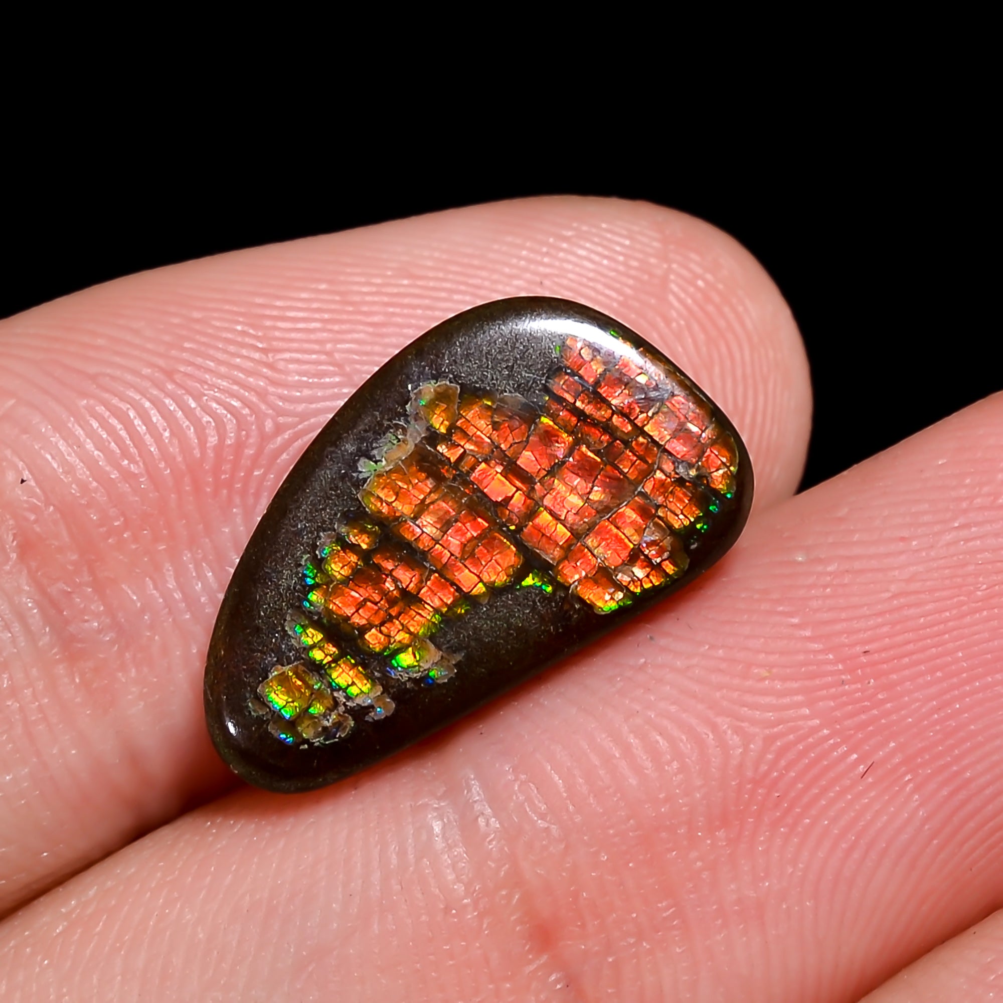 Natural Ammolite Fancy Shape Cabochon Loose Gemstone For Making Jewelry 6 Ct. 17X9X3 mm Y-10248