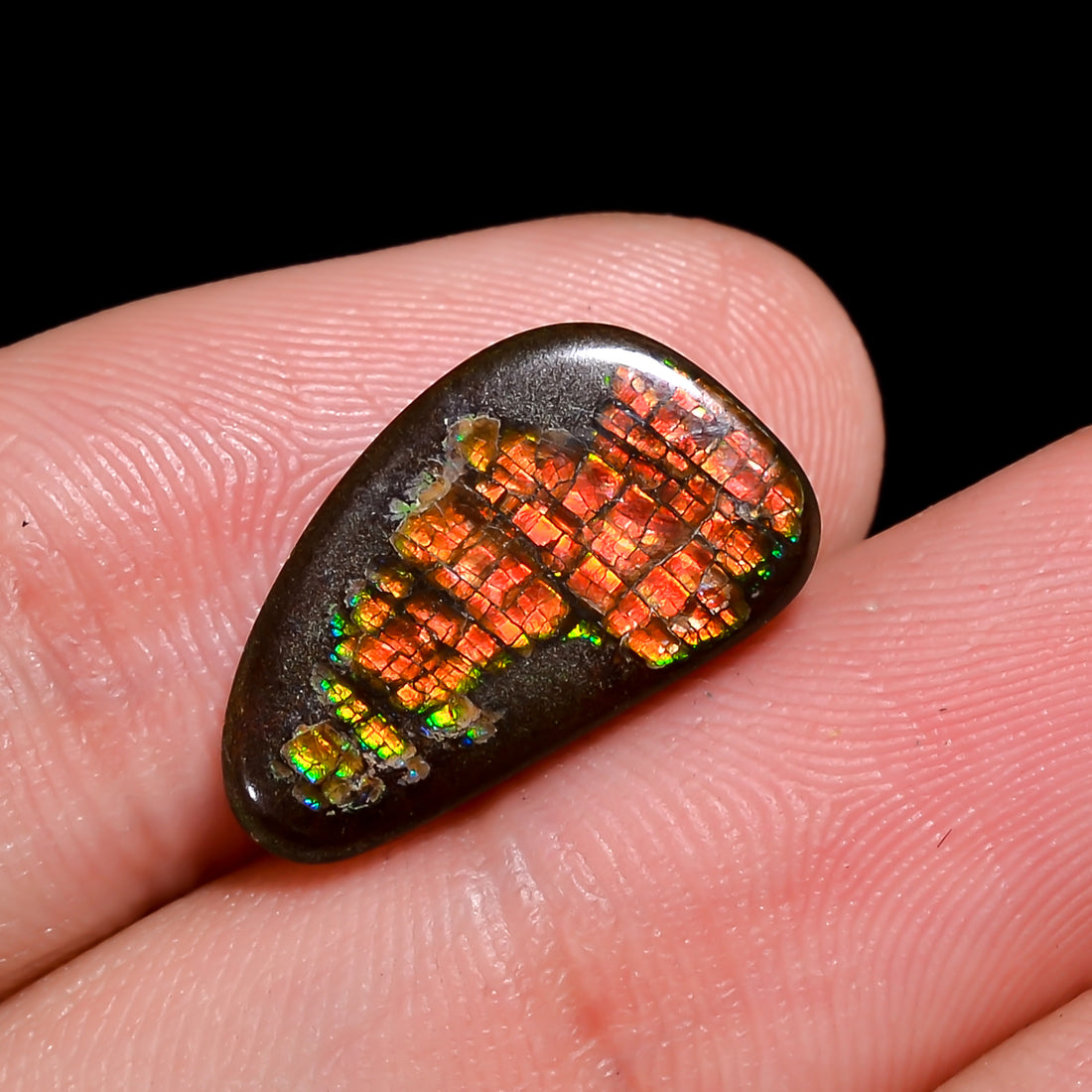 Natural Ammolite Fancy Shape Cabochon Loose Gemstone For Making Jewelry 6 Ct. 17X9X3 mm Y-10248