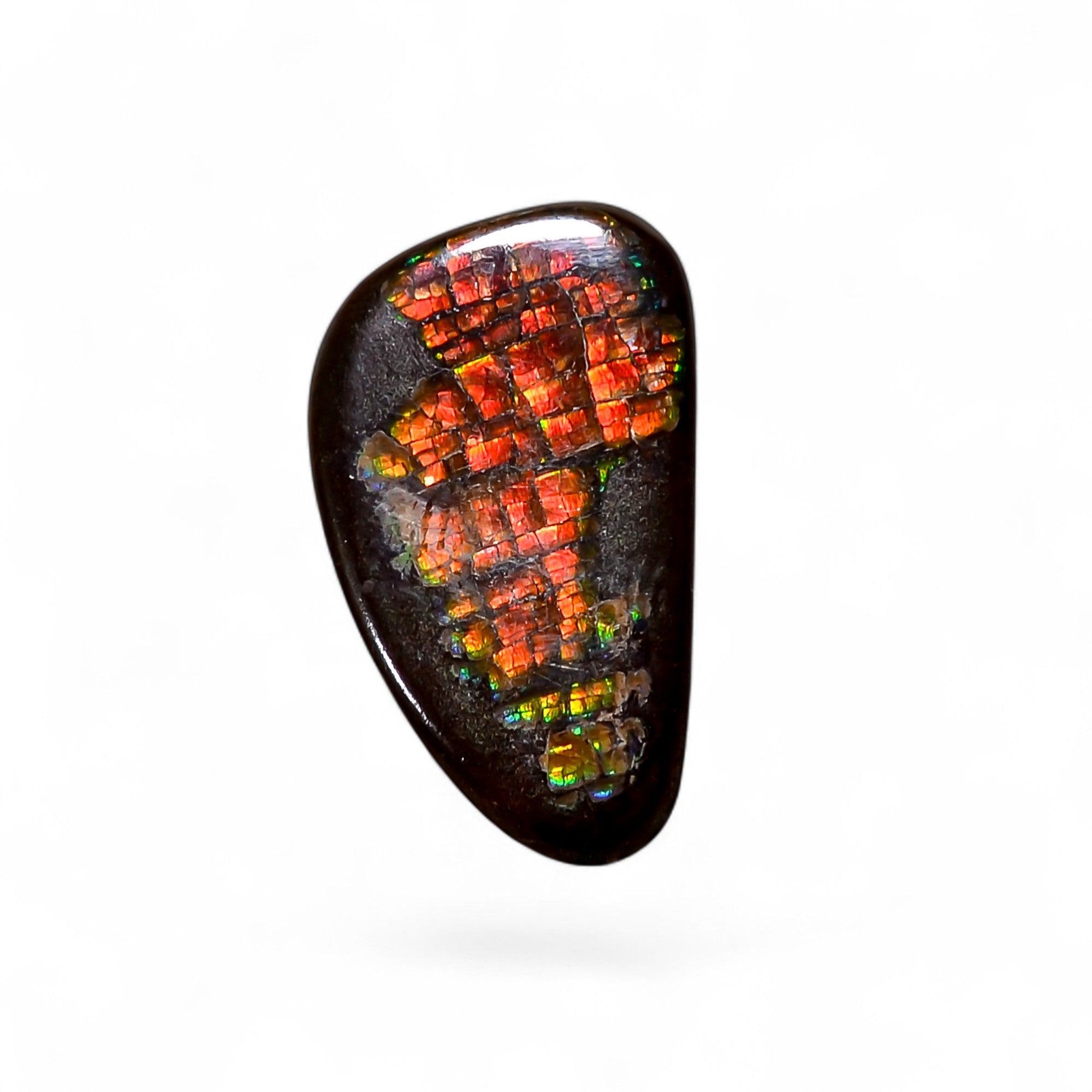 Natural Ammolite Fancy Shape Cabochon Loose Gemstone For Making Jewelry 6 Ct. 17X9X3 mm Y-10248