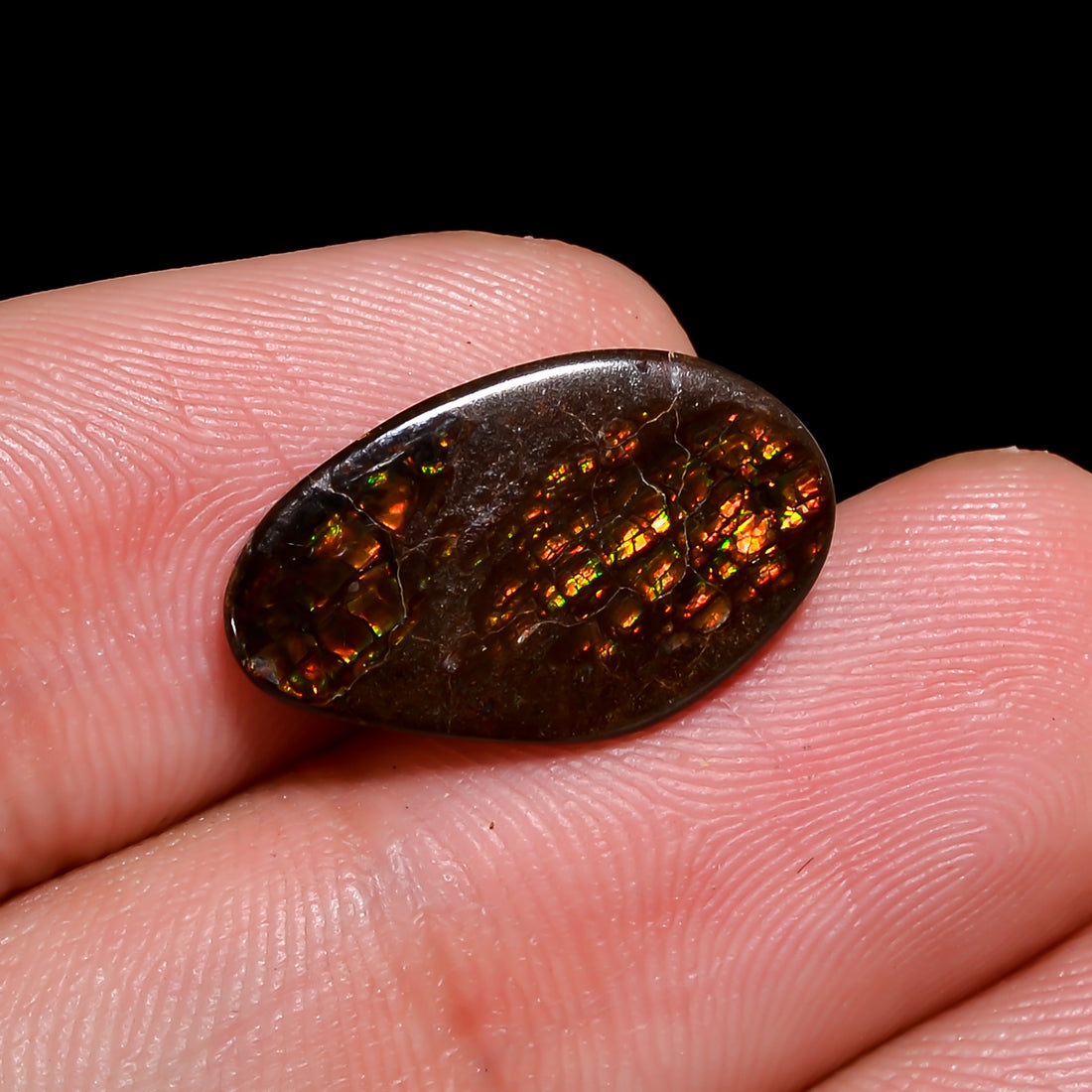 Natural Ammolite Fancy Shape Cabochon Loose Gemstone For Making Jewelry 5 Ct. 17X10X2 mm Y-10249