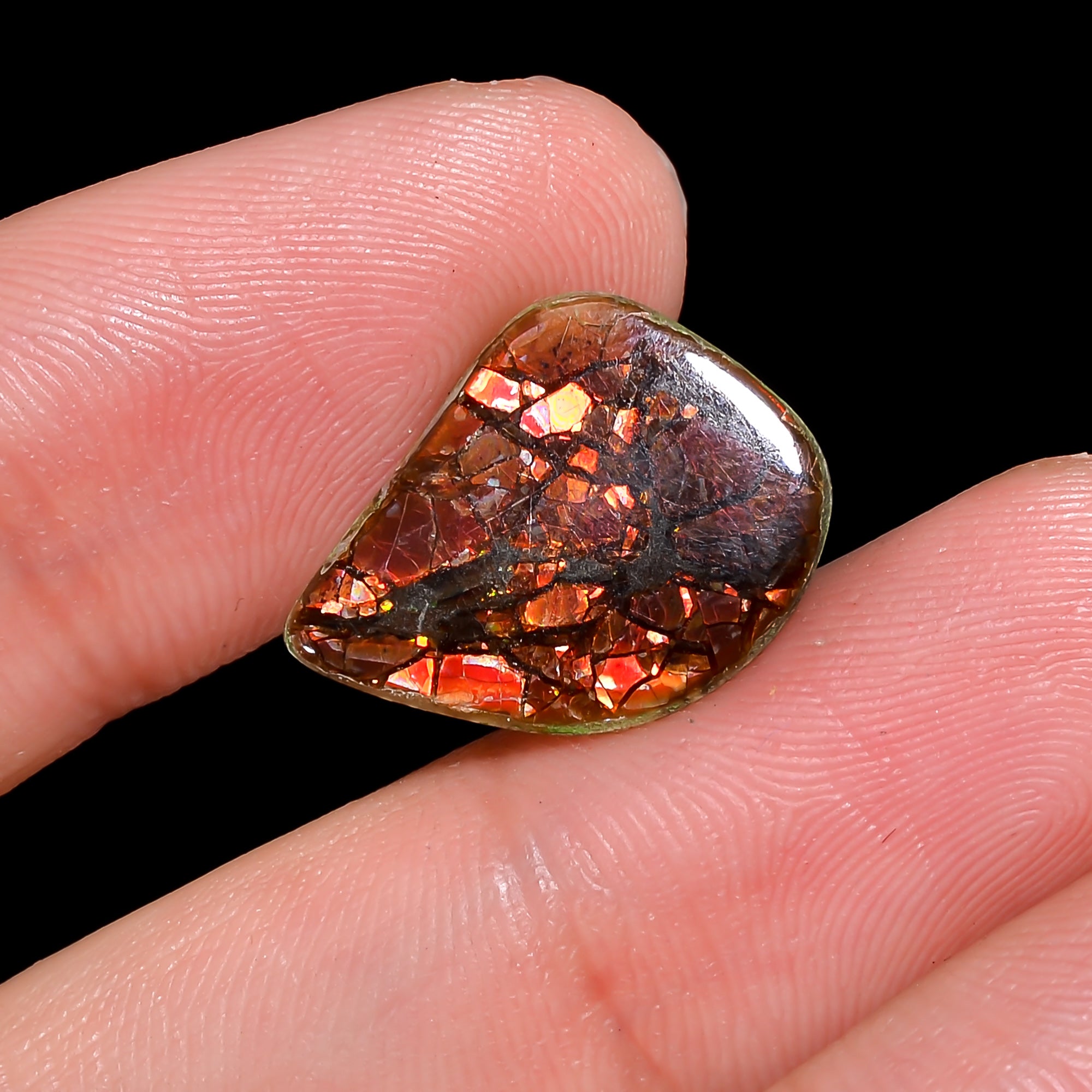 Natural Ammolite Fancy Shape Cabochon Loose Gemstone For Making Jewelry 3 Ct. 15X12X1 mm Y-10251