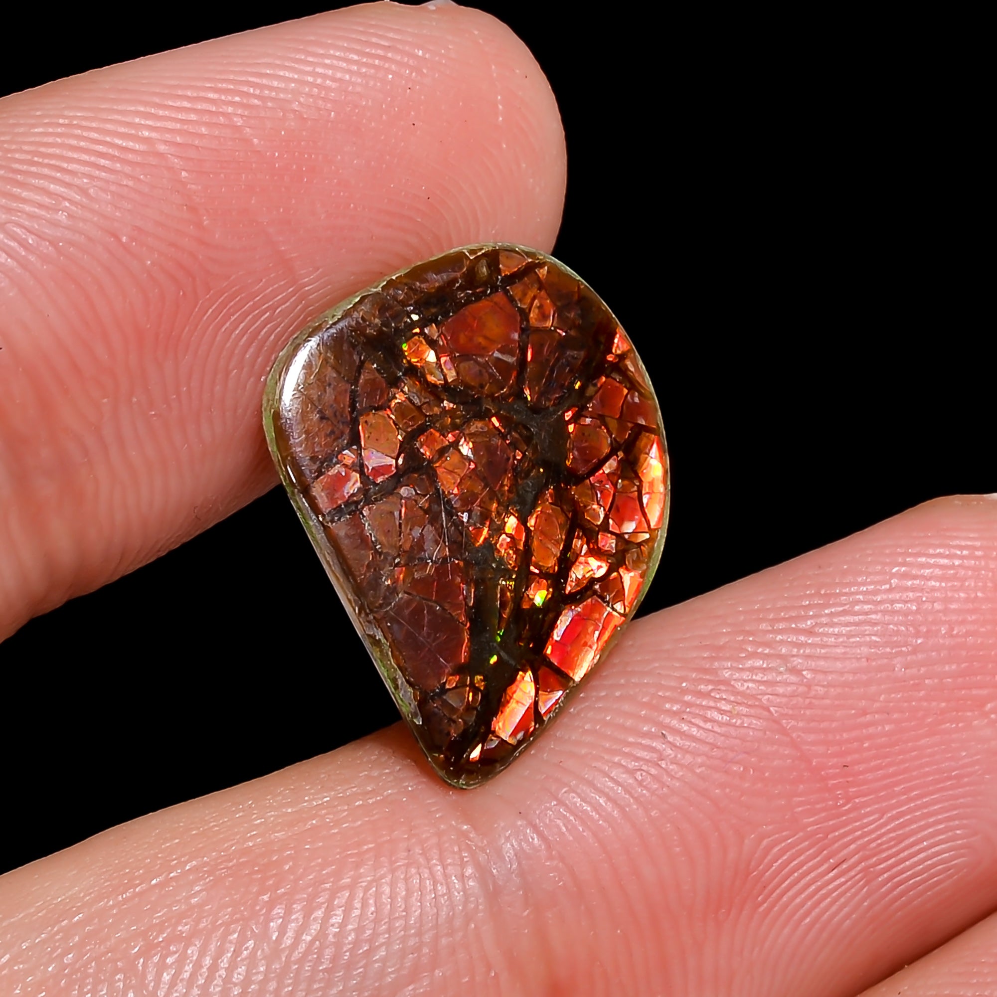 Natural Ammolite Fancy Shape Cabochon Loose Gemstone For Making Jewelry 3 Ct. 15X12X1 mm Y-10251