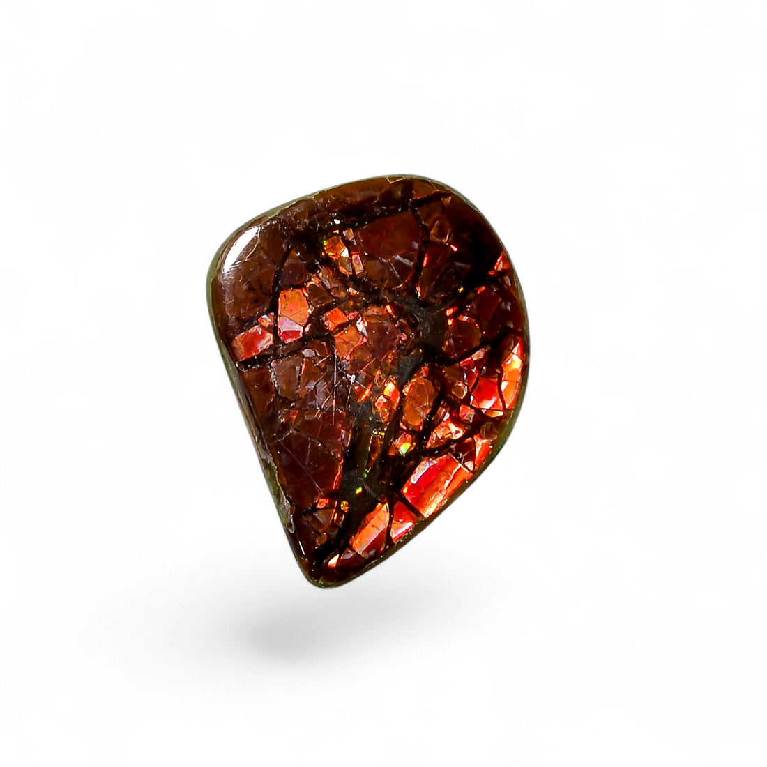 Natural Ammolite Fancy Shape Cabochon Loose Gemstone For Making Jewelry 3 Ct. 15X12X1 mm Y-10251
