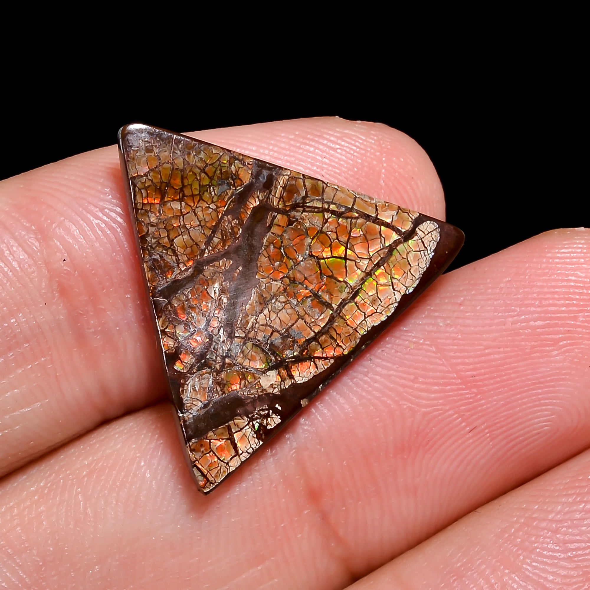 Natural Ammolite Triangle Shape Cabochon Loose Gemstone For Making Jewelry 8 Ct. 19X19X2 mm Y-10252