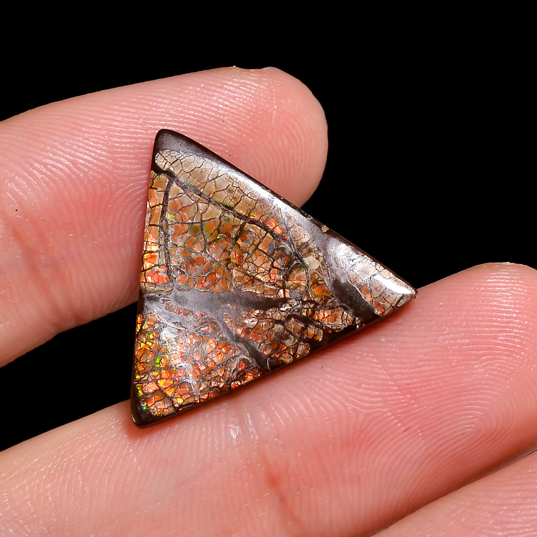 Natural Ammolite Triangle Shape Cabochon Loose Gemstone For Making Jewelry 8 Ct. 19X19X2 mm Y-10252