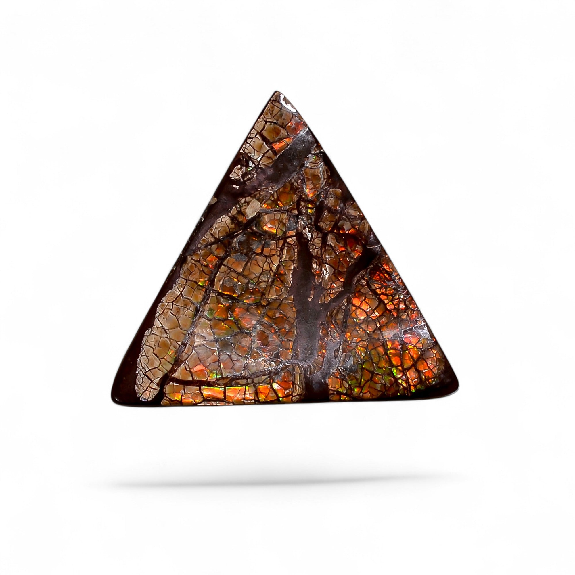 Natural Ammolite Triangle Shape Cabochon Loose Gemstone For Making Jewelry 8 Ct. 19X19X2 mm Y-10252