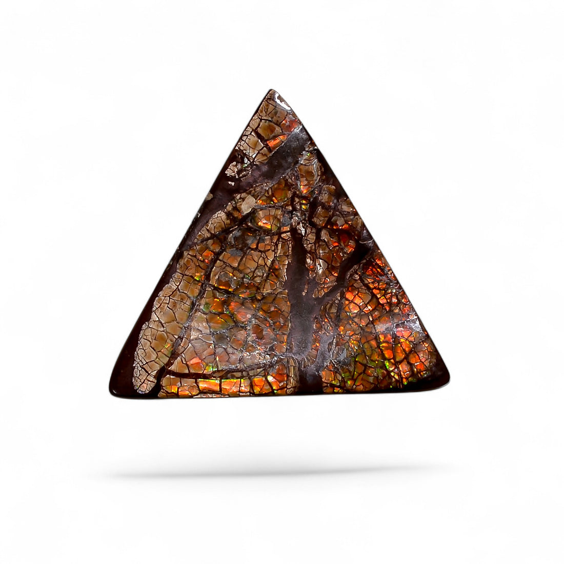 Natural Ammolite Triangle Shape Cabochon Loose Gemstone For Making Jewelry 8 Ct. 19X19X2 mm Y-10252