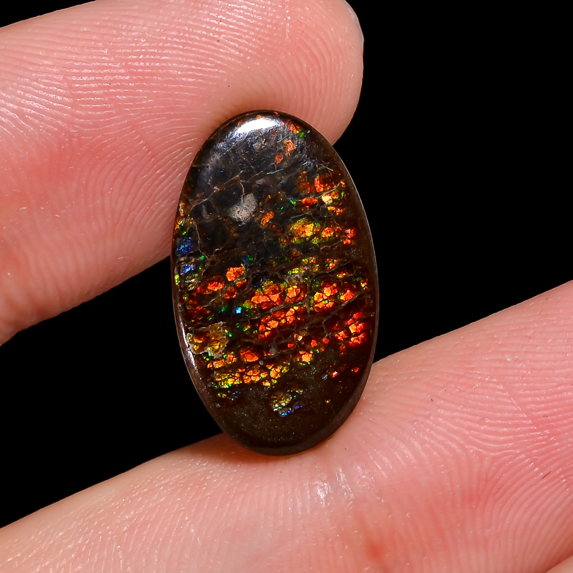 Natural Ammolite Oval Shape Cabochon Loose Gemstone For Making Jewelry 7 Ct. 18X11X3 mm Y-10253