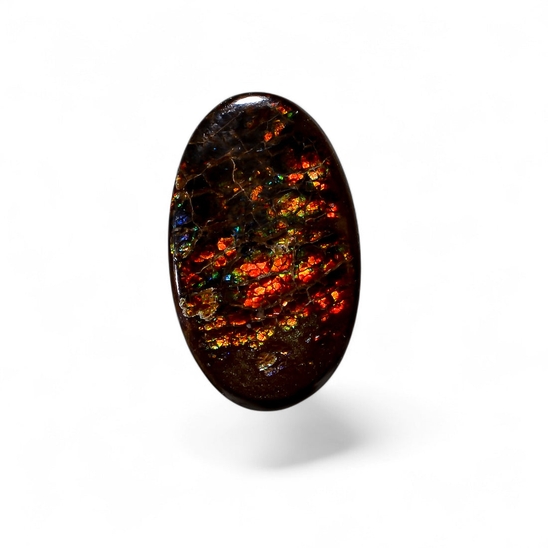 Natural Ammolite Oval Shape Cabochon Loose Gemstone For Making Jewelry 7 Ct. 18X11X3 mm Y-10253