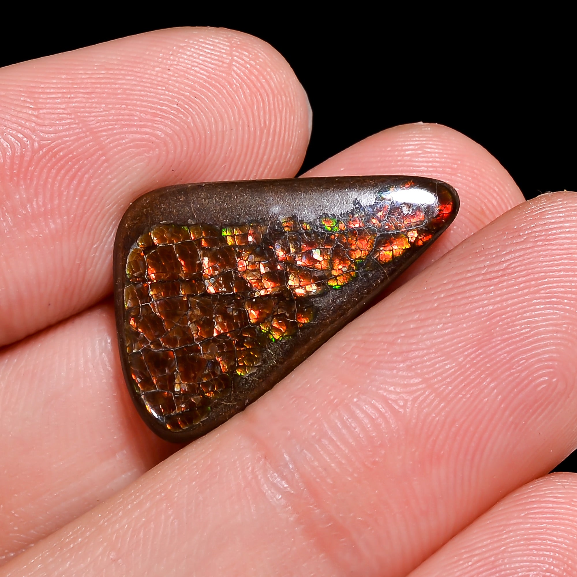 Natural Ammolite Fancy Shape Cabochon Loose Gemstone For Making Jewelry 7 Ct. 23X14X2 mm Y-10255