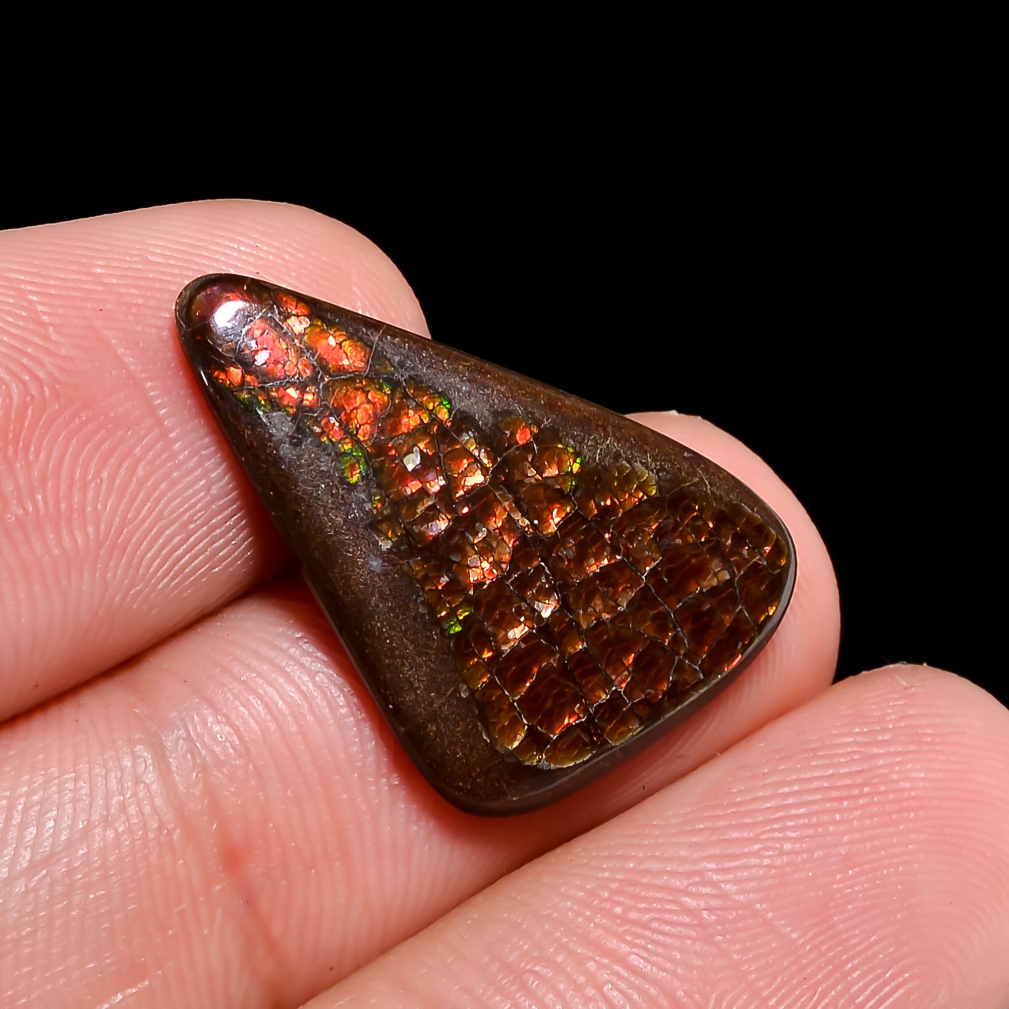 Natural Ammolite Fancy Shape Cabochon Loose Gemstone For Making Jewelry 7 Ct. 23X14X2 mm Y-10255