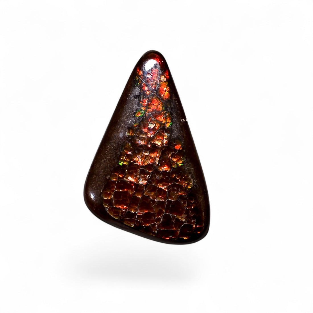 Natural Ammolite Fancy Shape Cabochon Loose Gemstone For Making Jewelry 7 Ct. 23X14X2 mm Y-10255