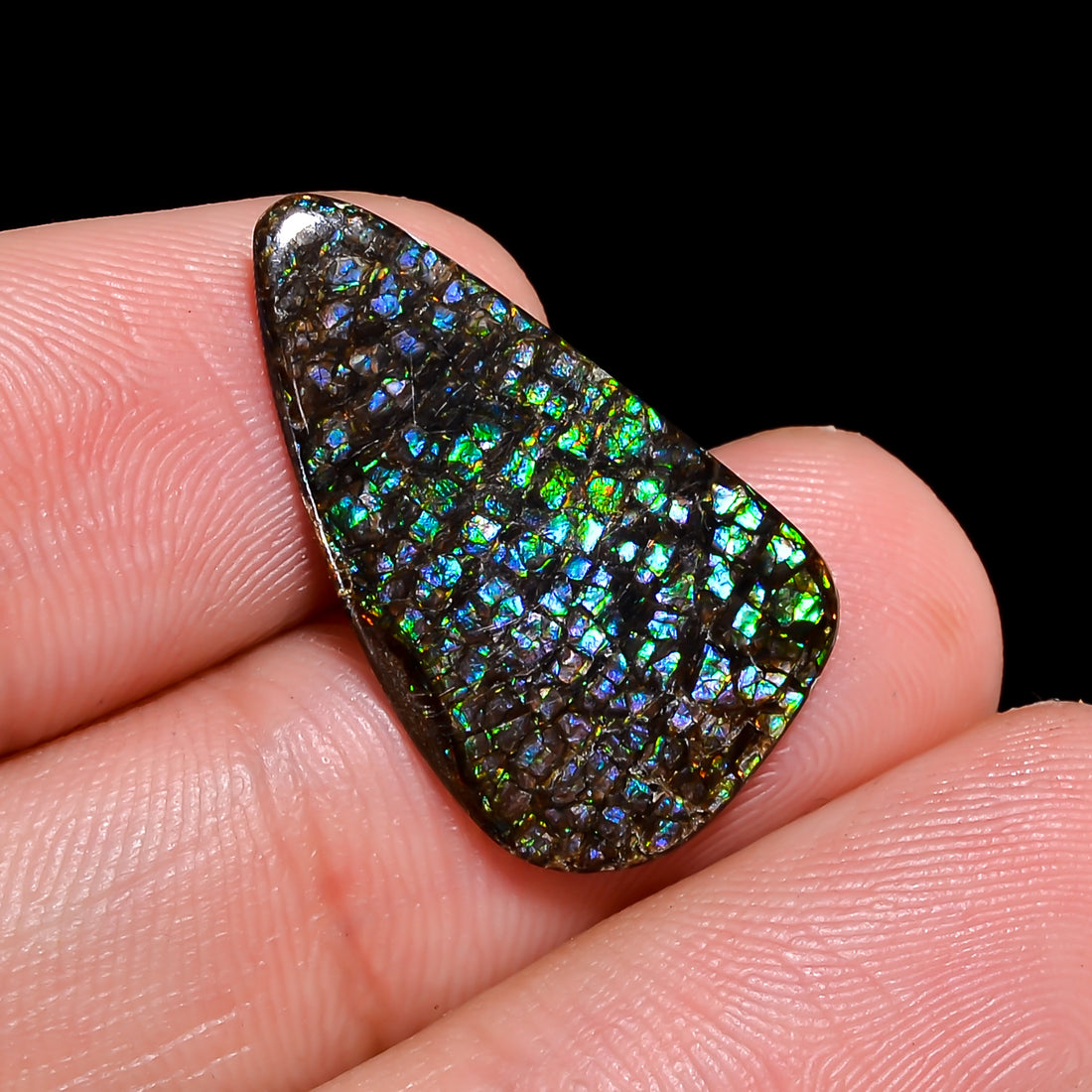Natural Ammolite Fancy Shape Cabochon Loose Gemstone For Making Jewelry 4 Ct. 23X13X1 mm Y-10256