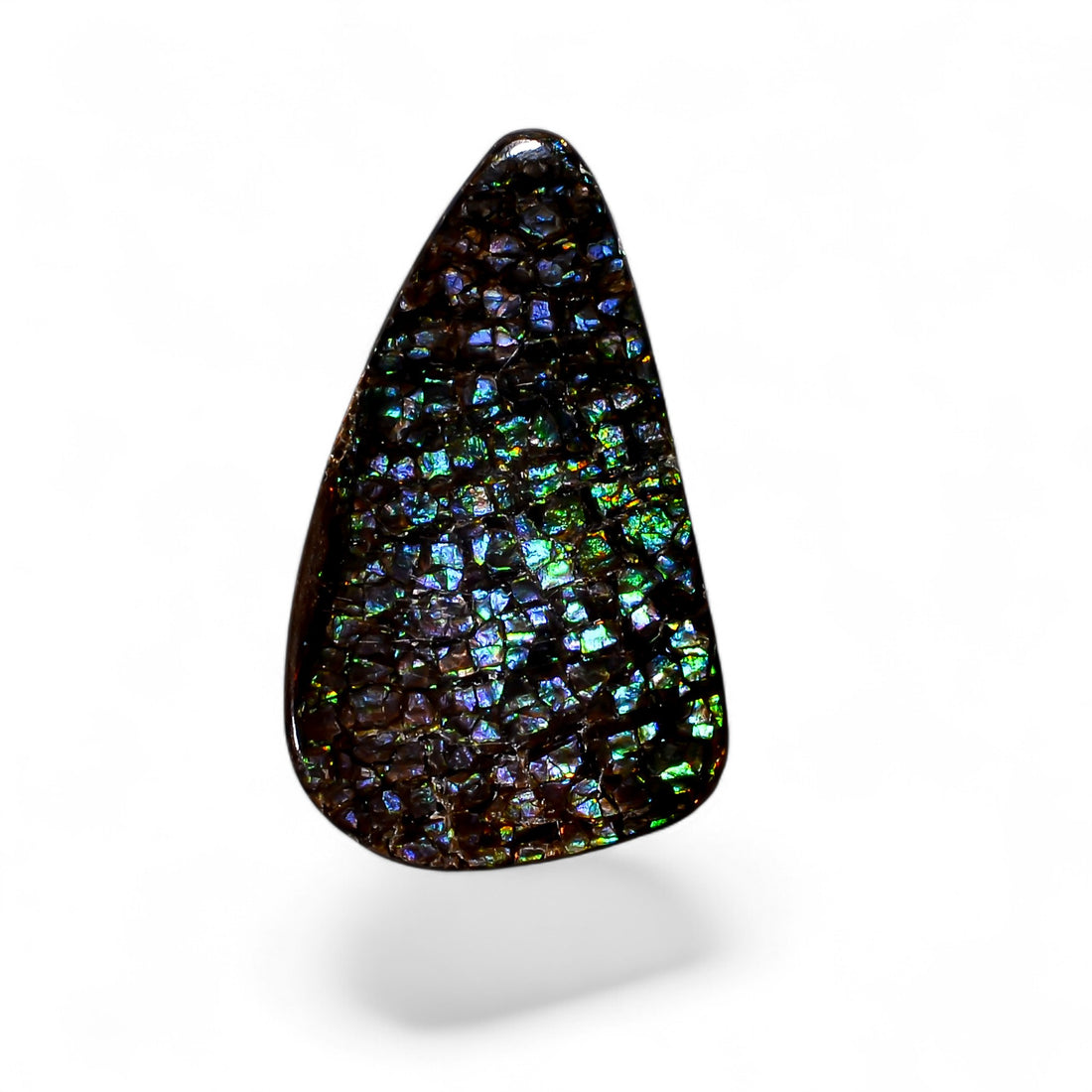 Natural Ammolite Fancy Shape Cabochon Loose Gemstone For Making Jewelry 4 Ct. 23X13X1 mm Y-10256
