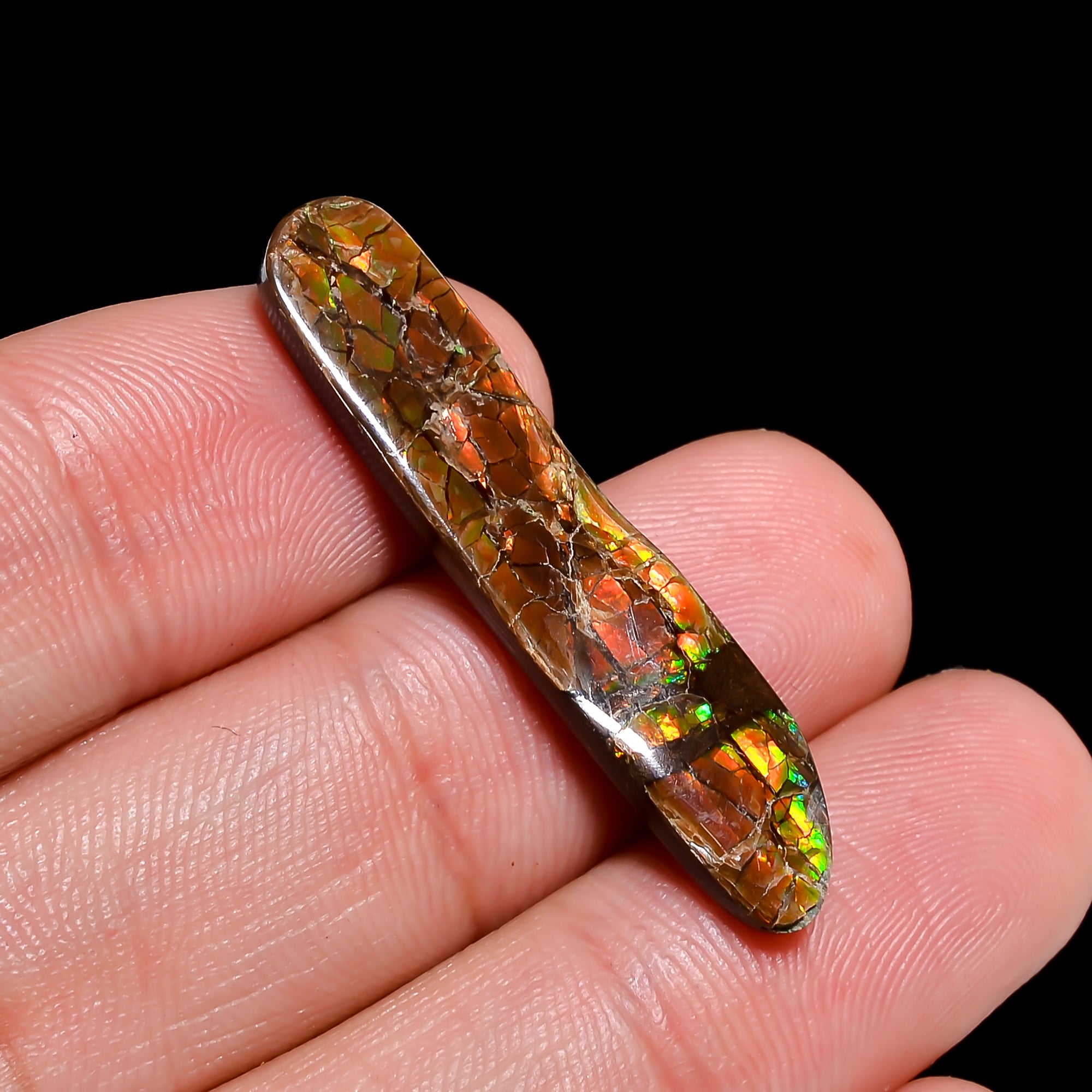 Natural Ammolite Fancy Shape Cabochon Loose Gemstone For Making Jewelry 10.5 Ct. 35X7X3 mm Y-10257