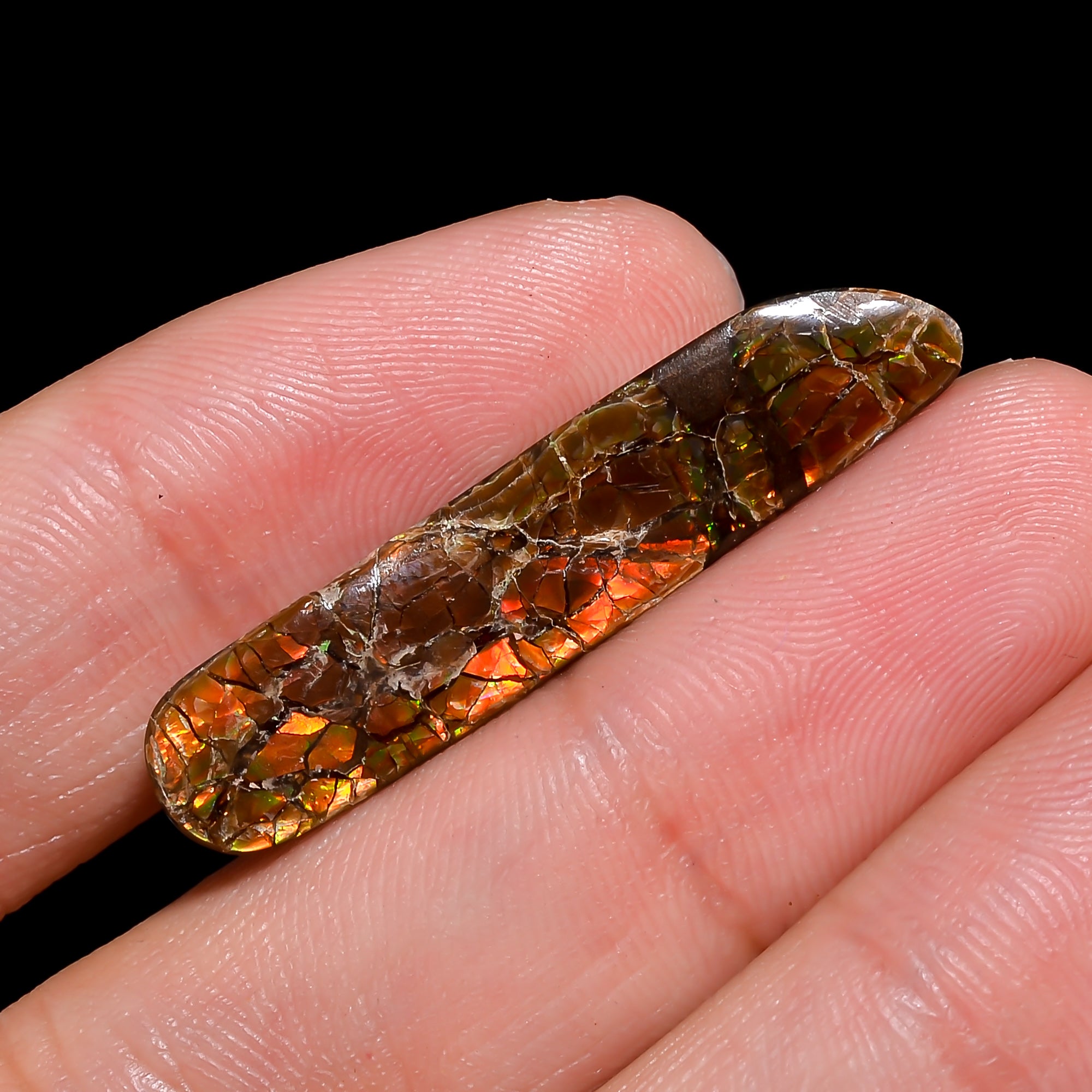 Natural Ammolite Fancy Shape Cabochon Loose Gemstone For Making Jewelry 10.5 Ct. 35X7X3 mm Y-10257